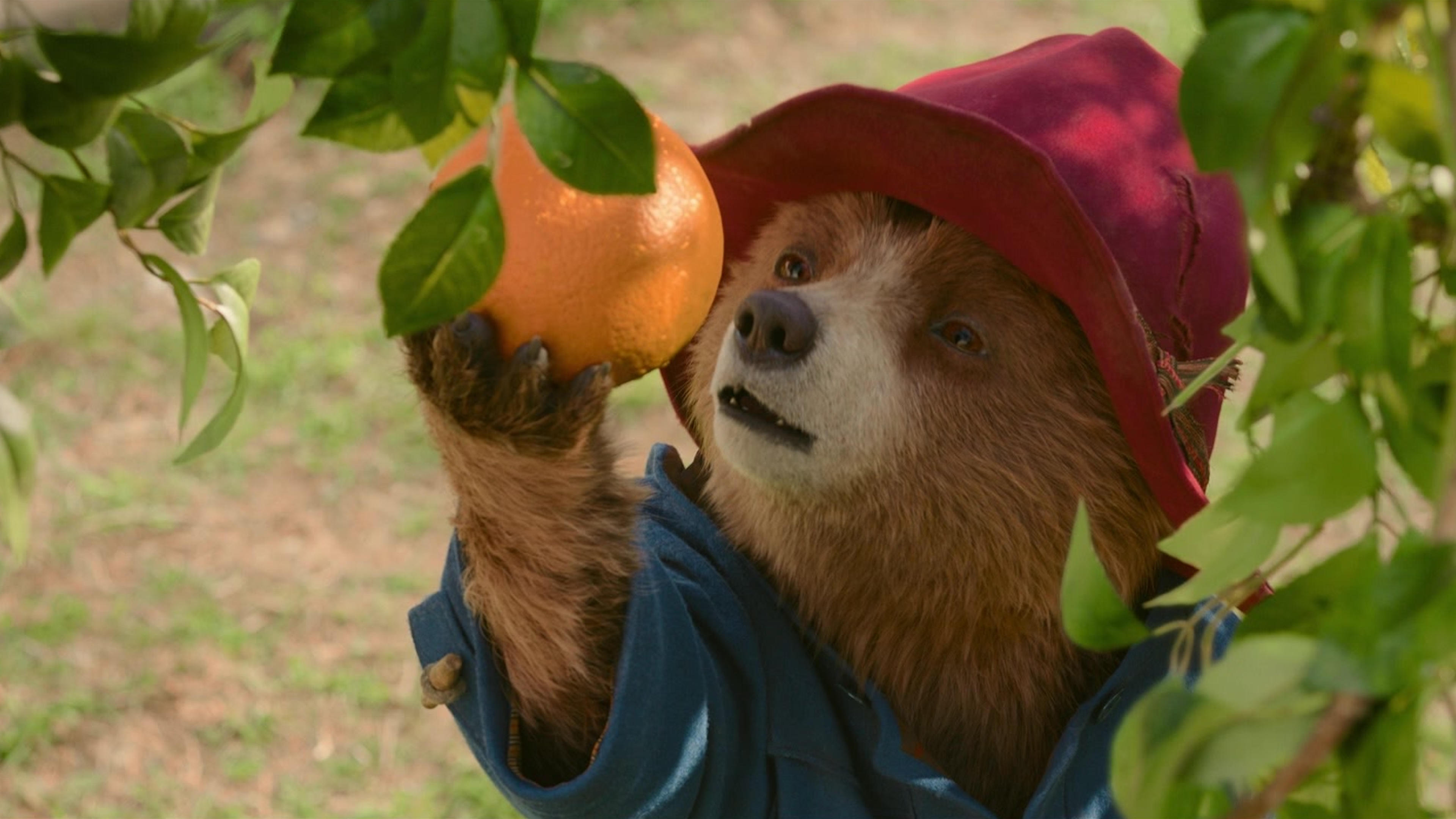 Immagine Paddington in Perù - Poster - Sfondi