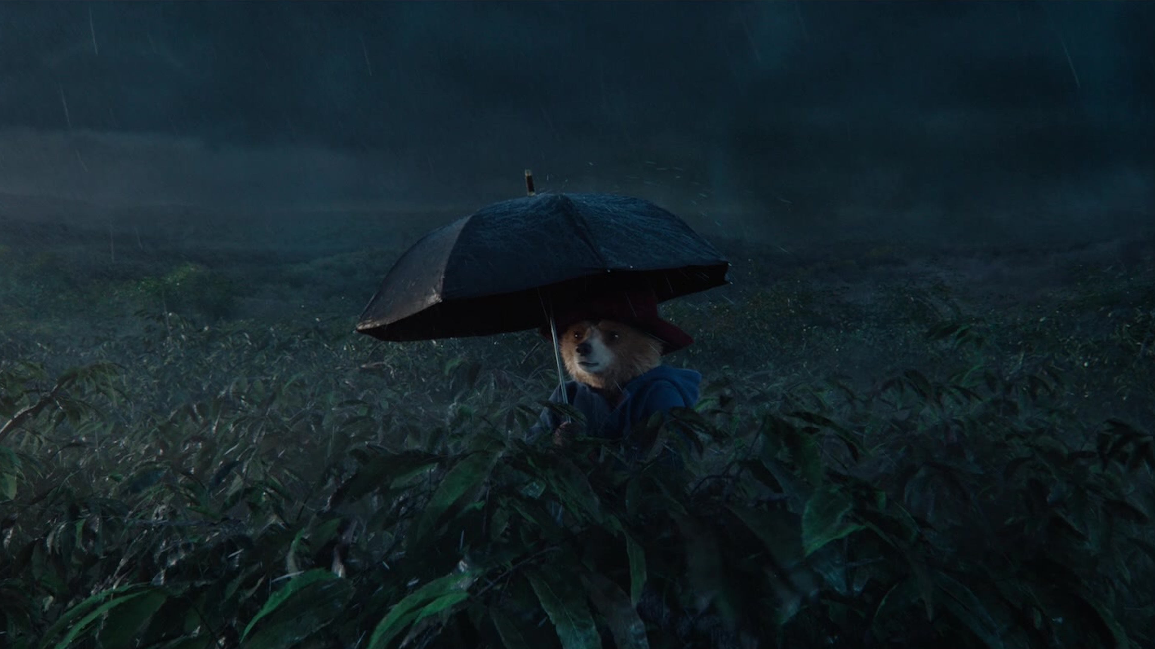 Immagine Paddington in Perù - Poster - Sfondi