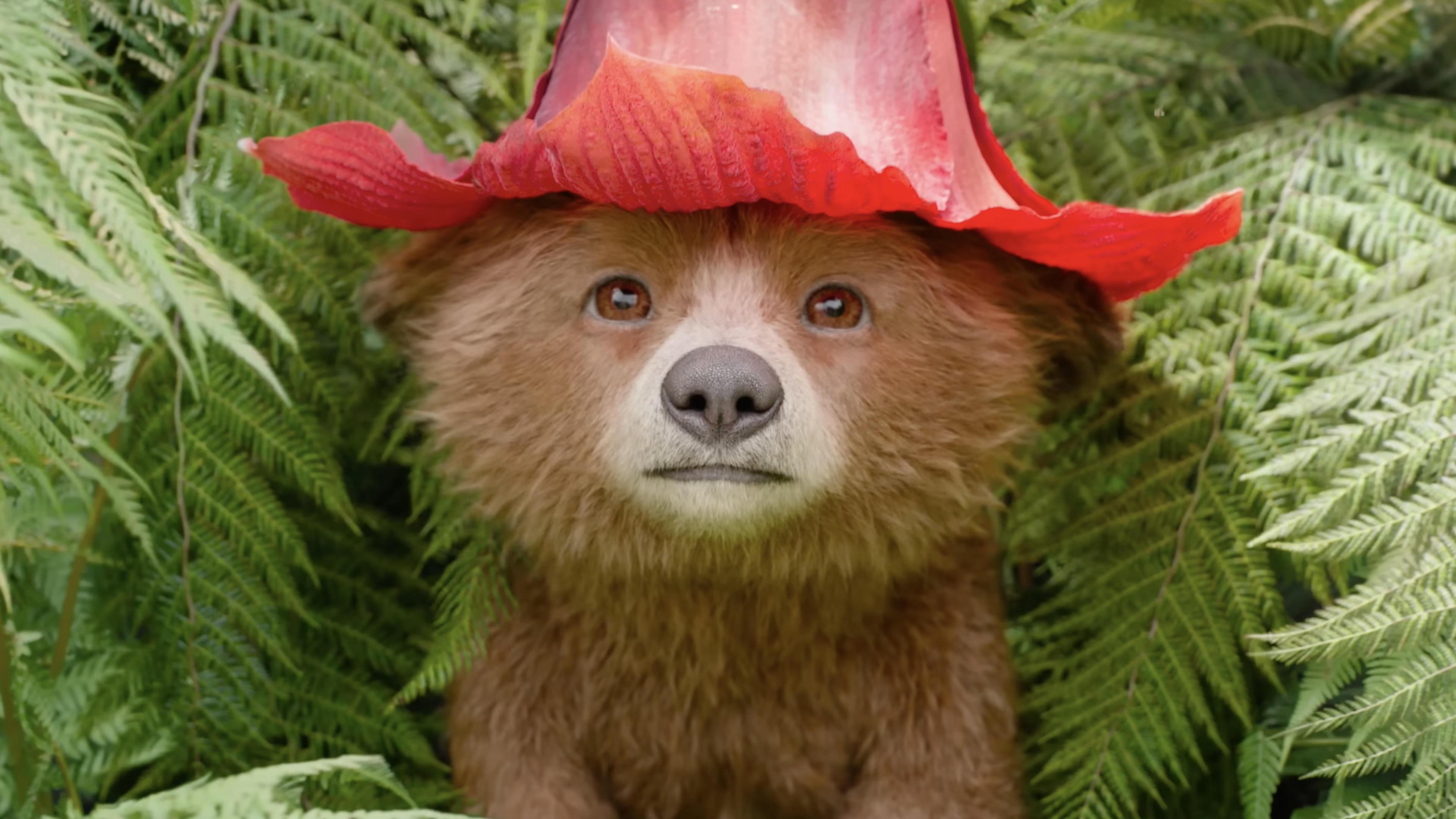 Immagine Paddington in Perù - Poster - Sfondi