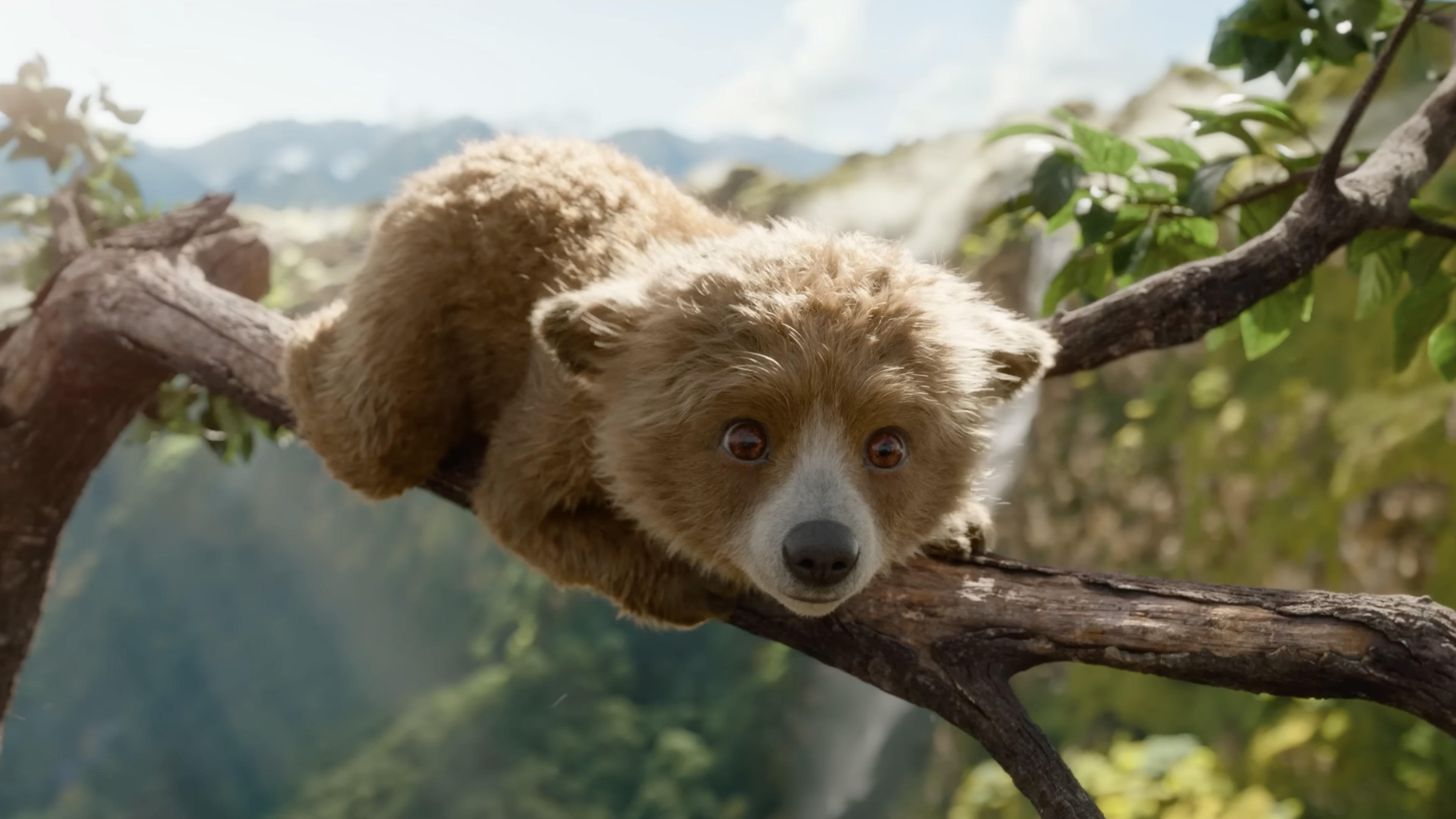 Immagine Paddington in Perù - Poster - Sfondi