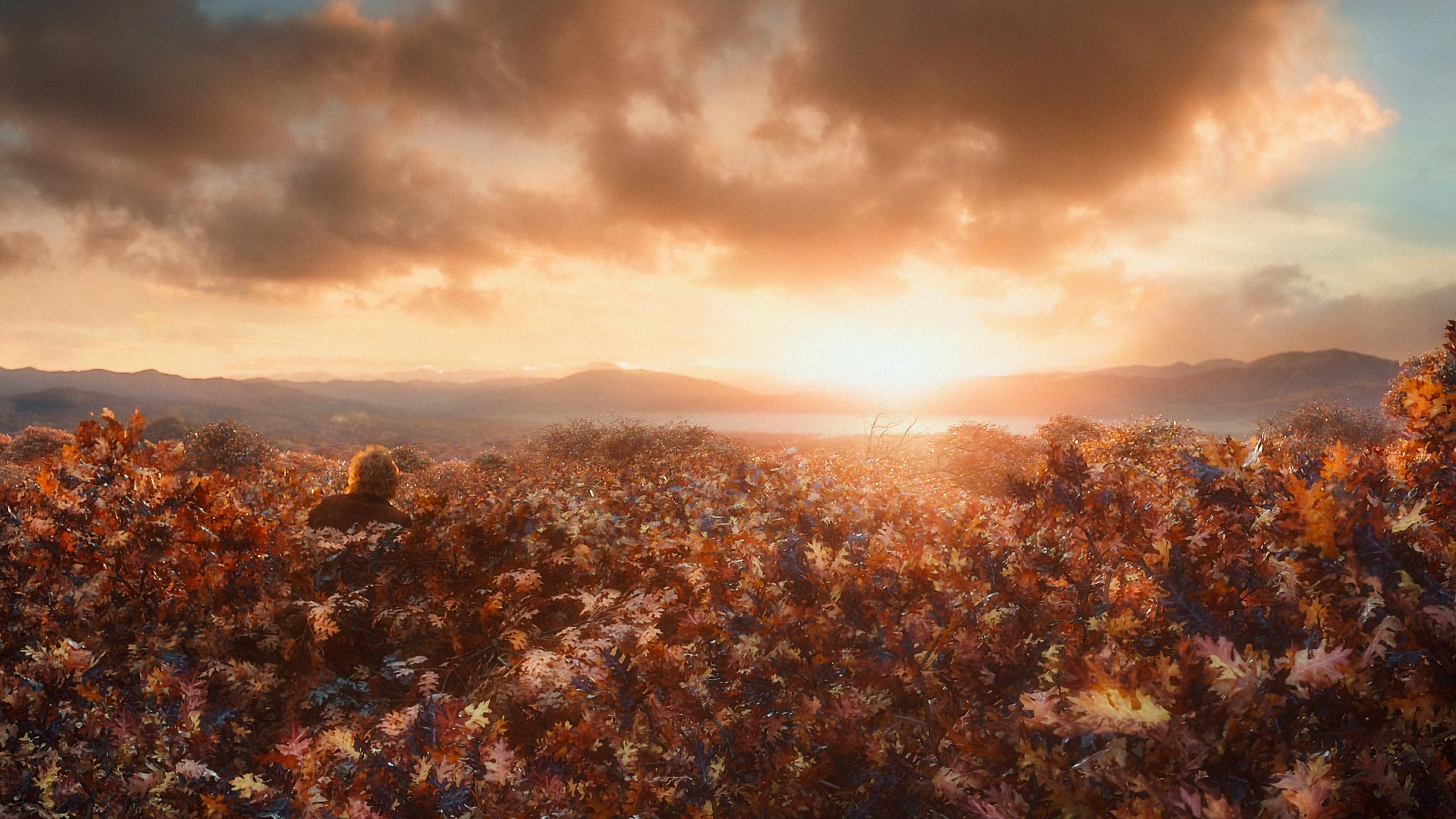 Immagine Lo Hobbit: La desolazione di Smaug - Poster - Sfondi