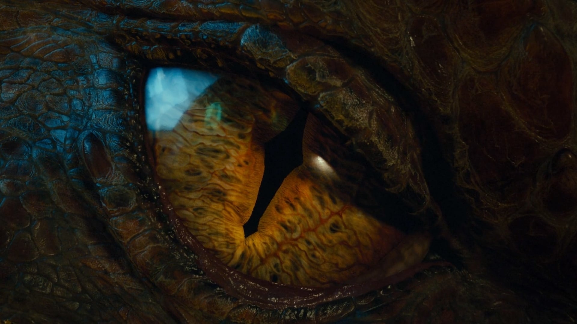 Immagine Lo Hobbit: La desolazione di Smaug - Poster - Sfondi