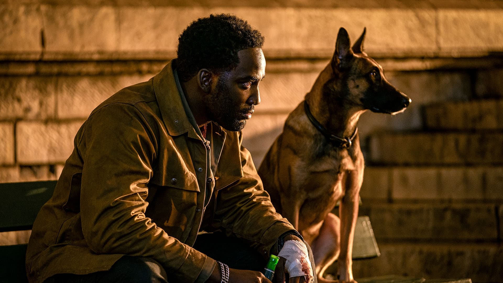 Immagine John Wick 4 - Poster - Sfondi