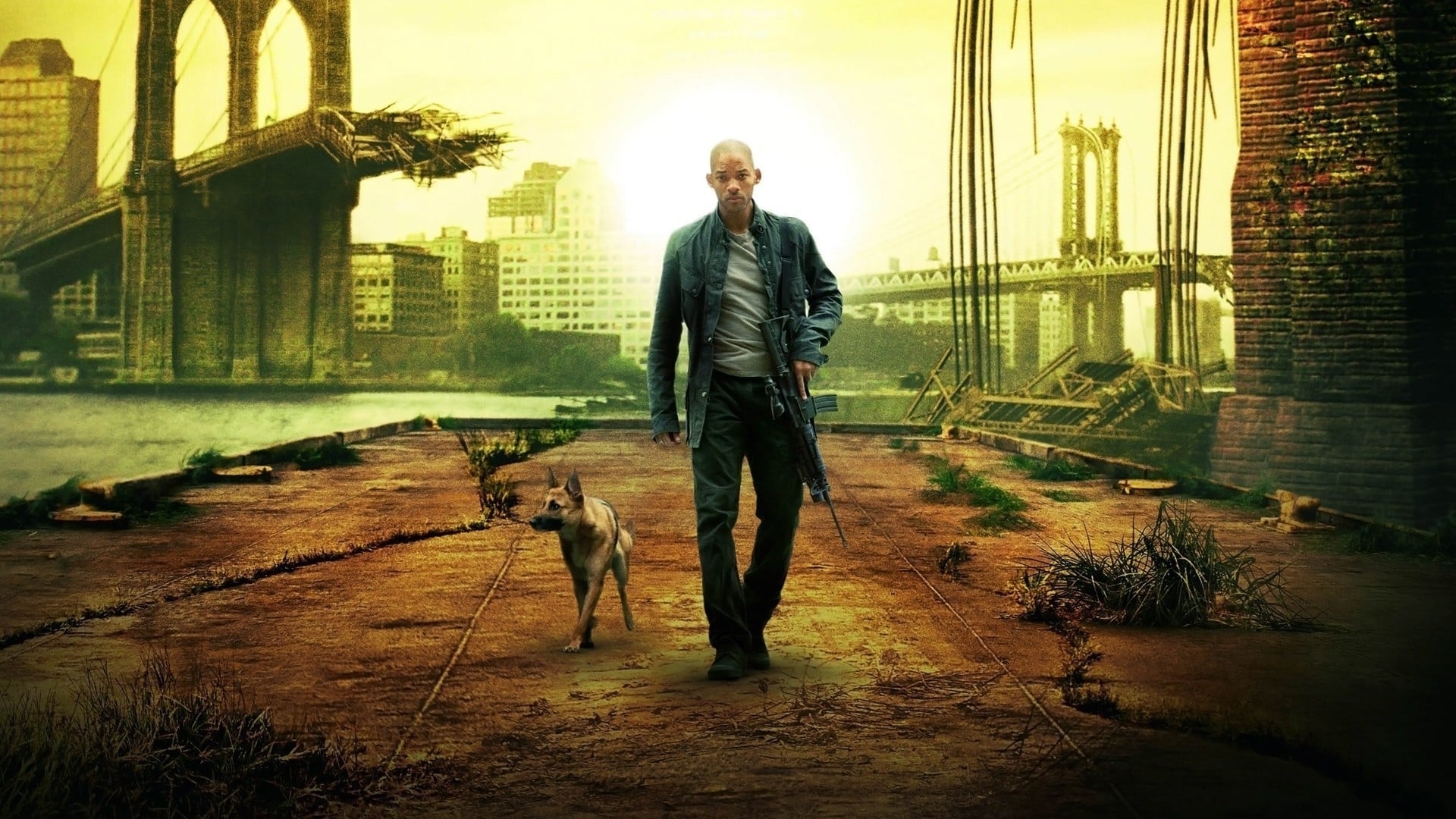 Immagine Io sono leggenda - Poster - Sfondi