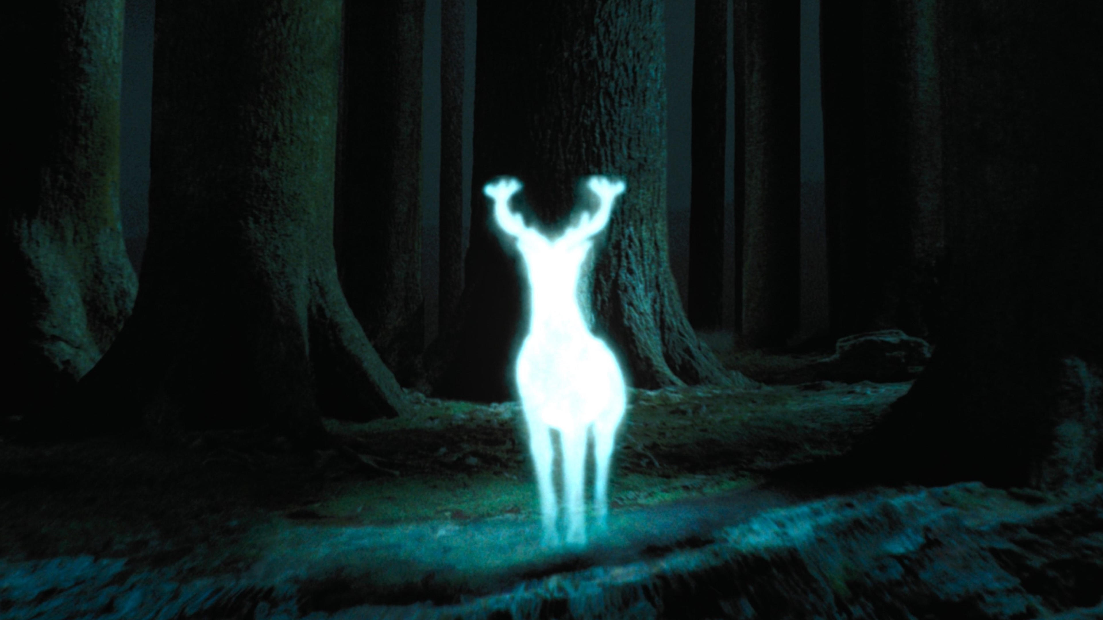 Immagine Harry Potter e il prigioniero di Azkaban - Poster - Sfondi
