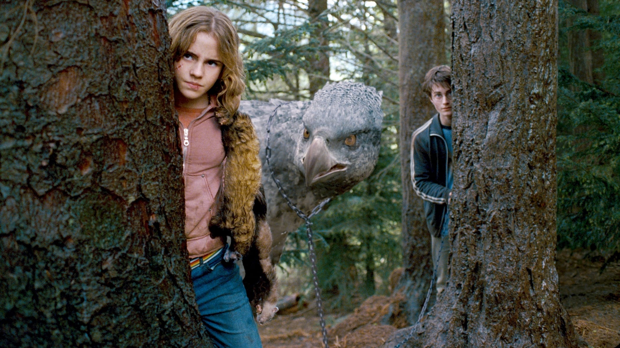 Immagine Harry Potter e il prigioniero di Azkaban - Poster - Sfondi