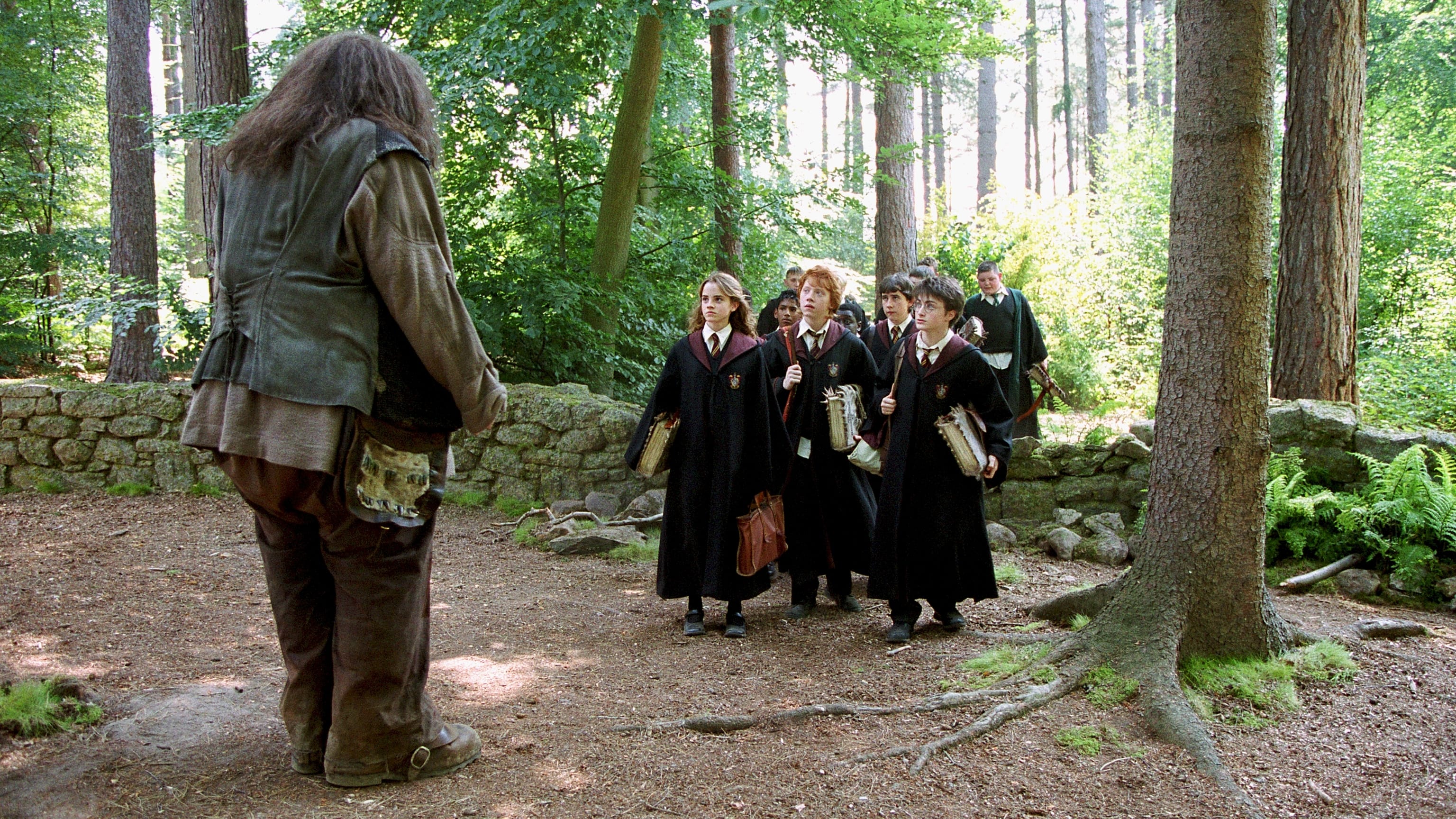 Immagine Harry Potter e il prigioniero di Azkaban - Poster - Sfondi