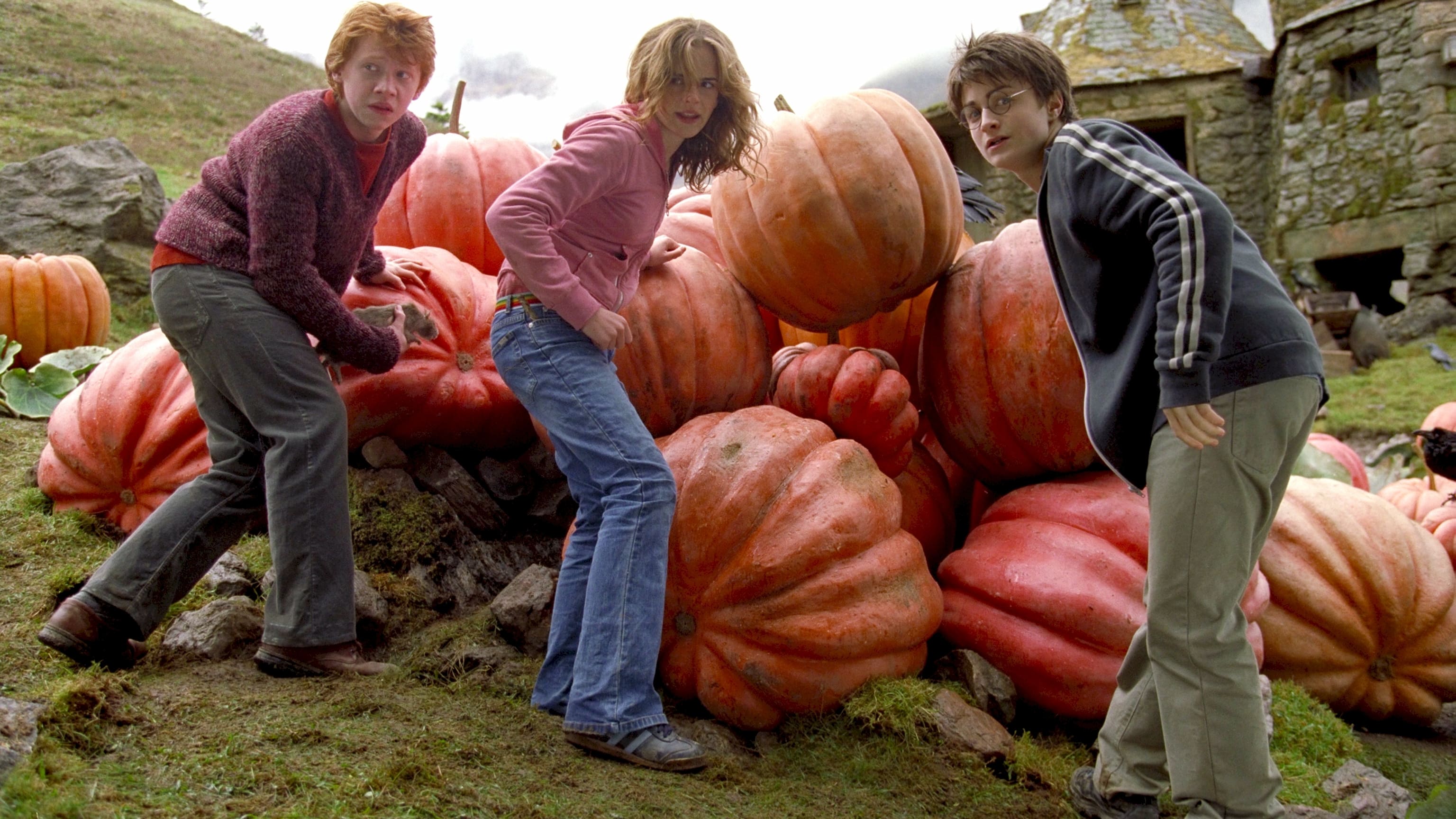Immagine Harry Potter e il prigioniero di Azkaban - Poster - Sfondi