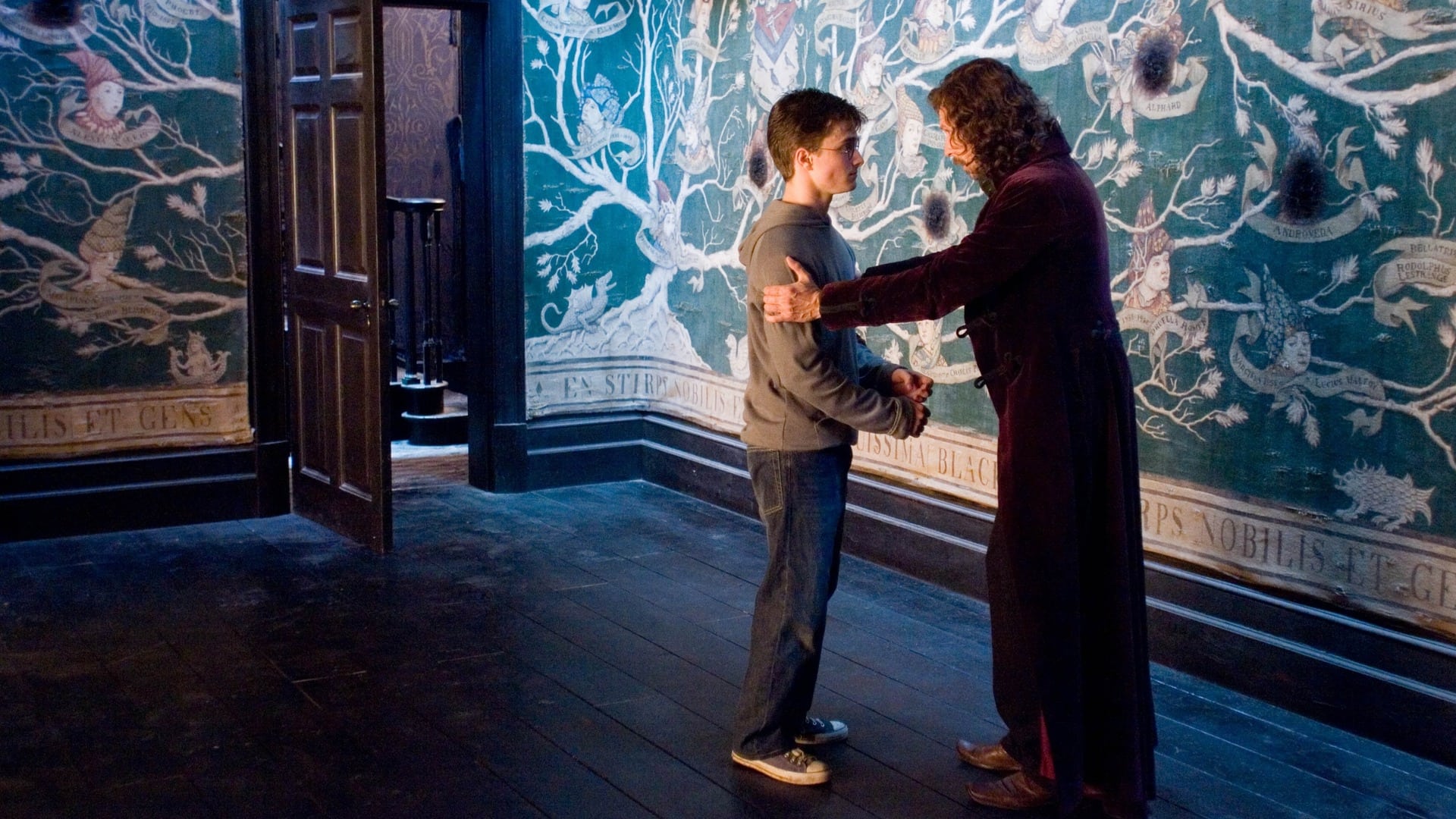 Immagine Harry Potter e l'ordine della fenice - Poster - Sfondi