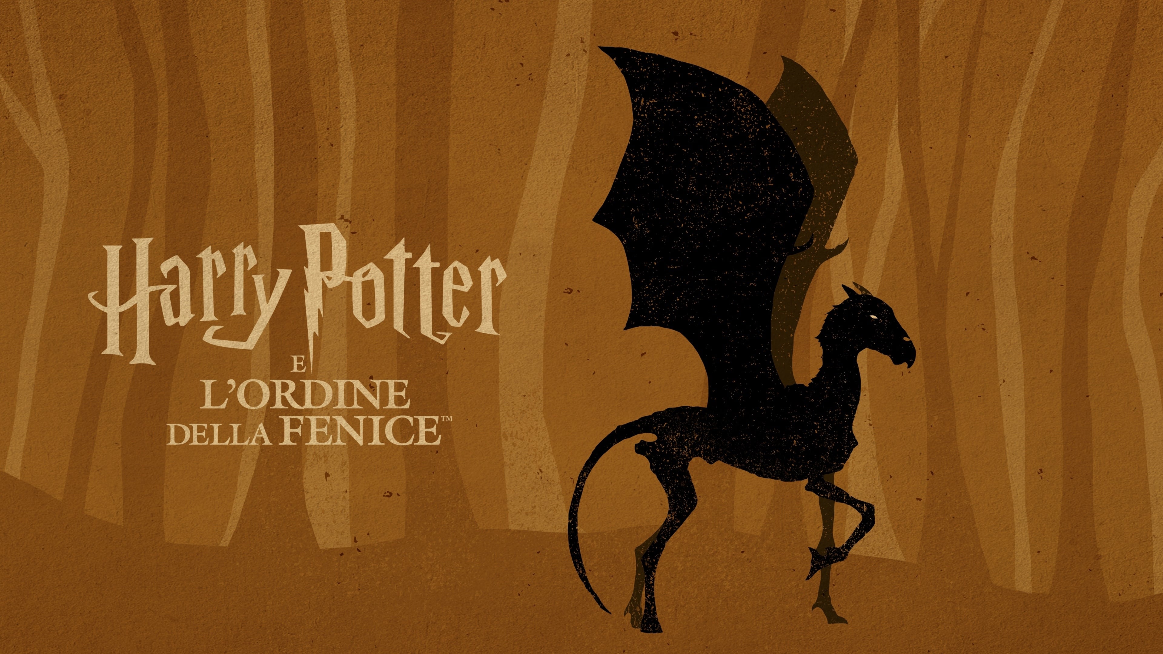 Immagine Harry Potter e l'ordine della fenice - Poster - Sfondi