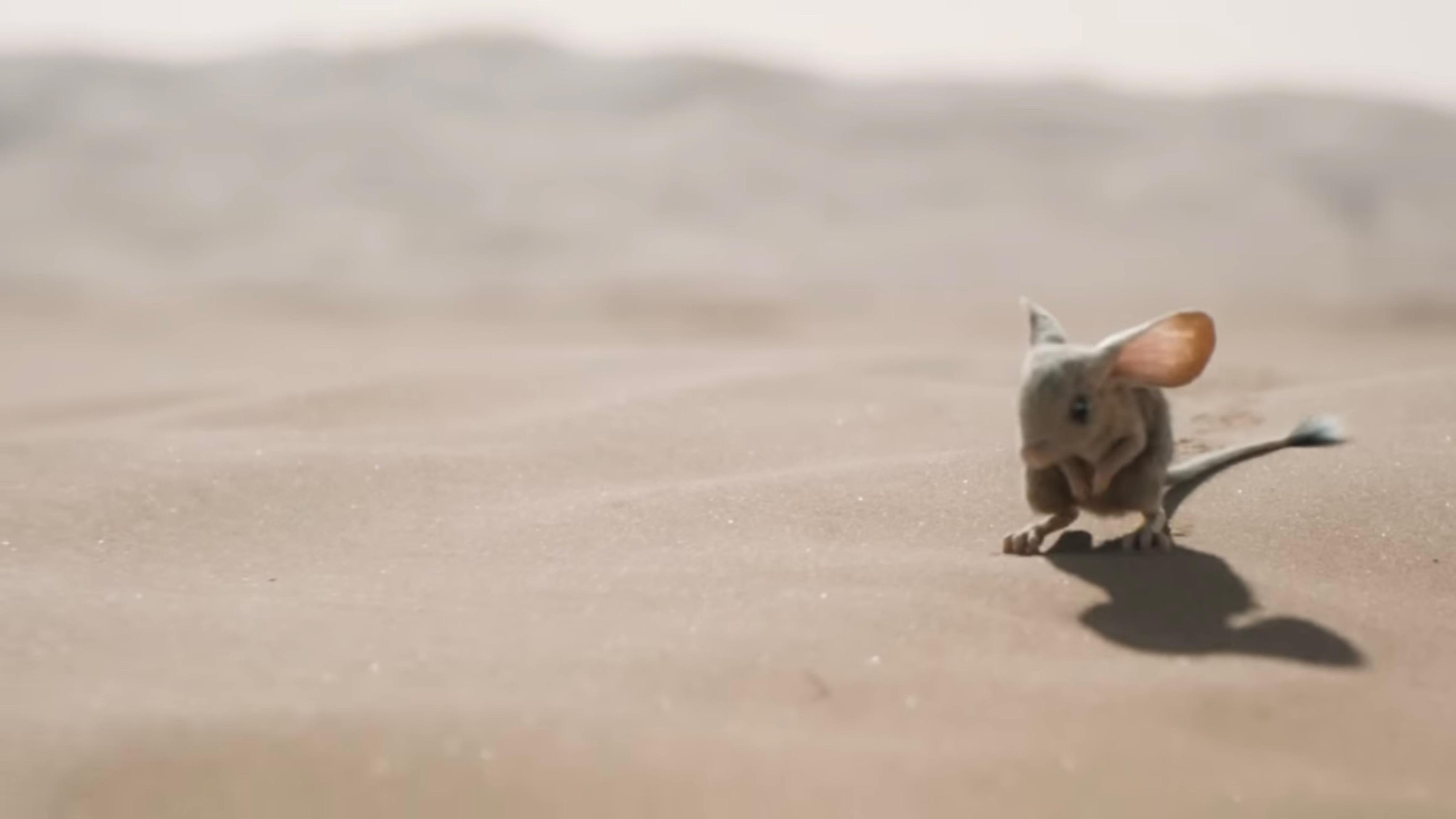 Immagine Dune - Parte due - Poster - Sfondi