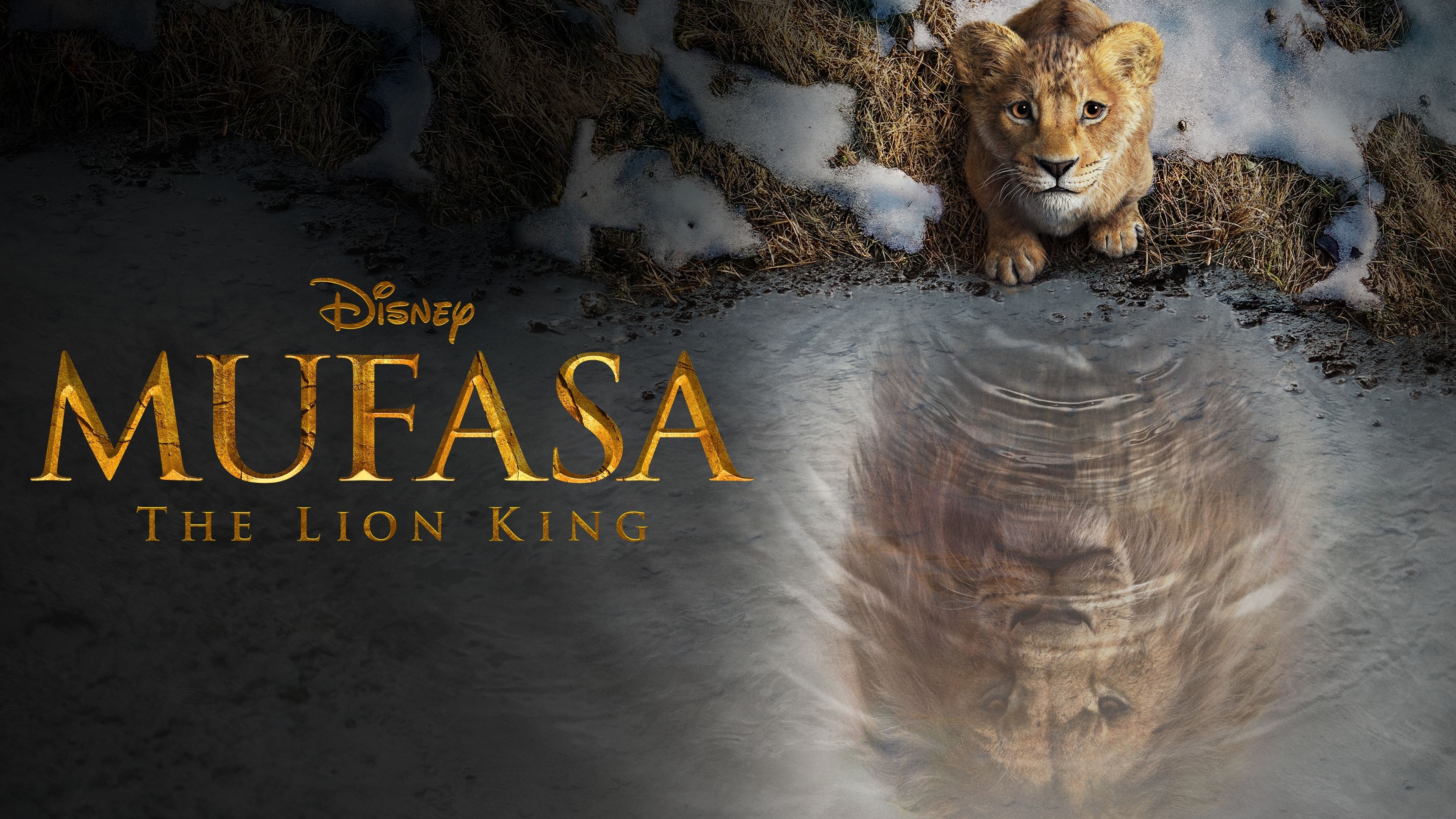 Immagine Mufasa - Il re leone - Poster - Sfondi