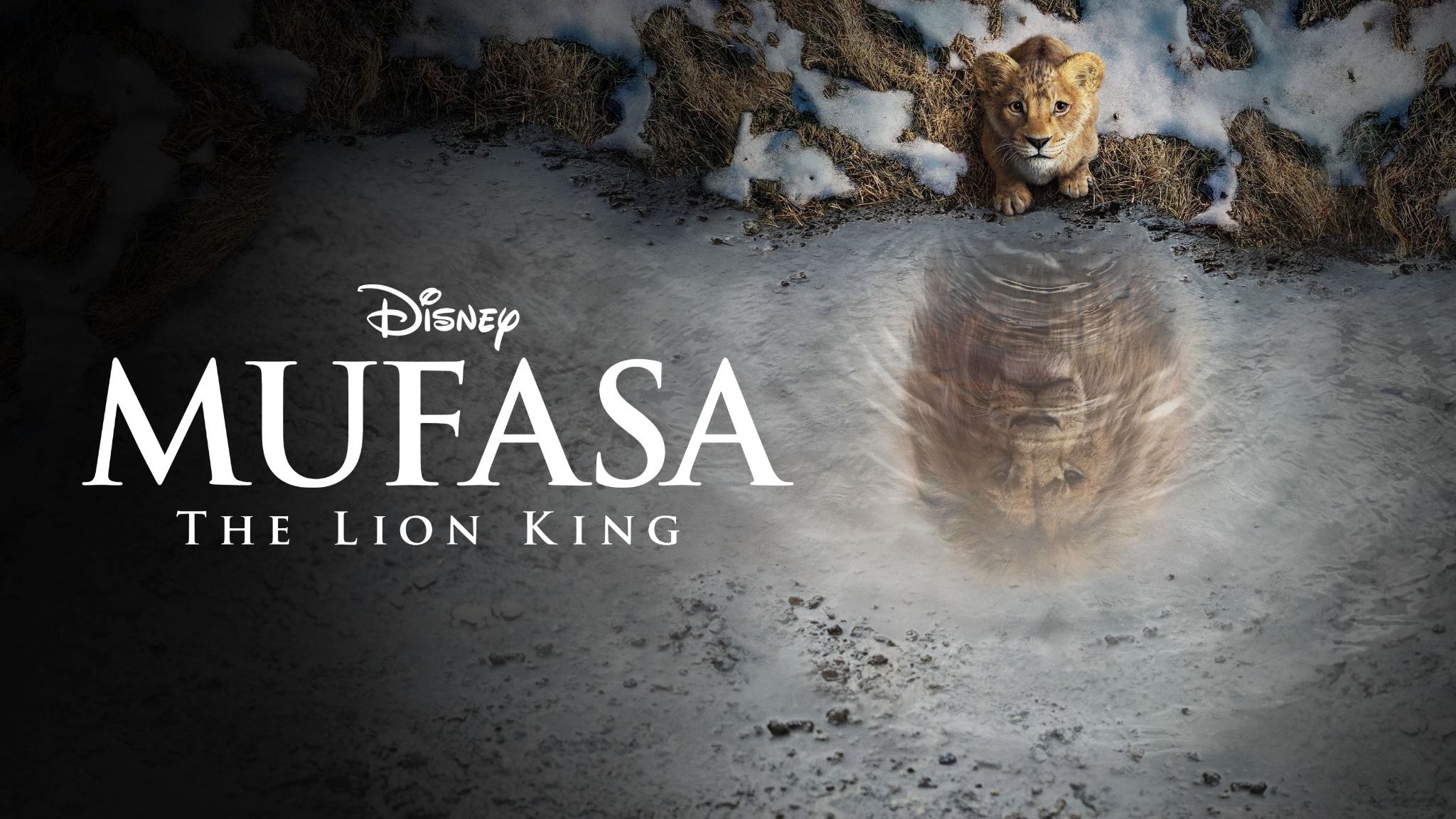 Immagine Mufasa - Il re leone - Poster - Sfondi