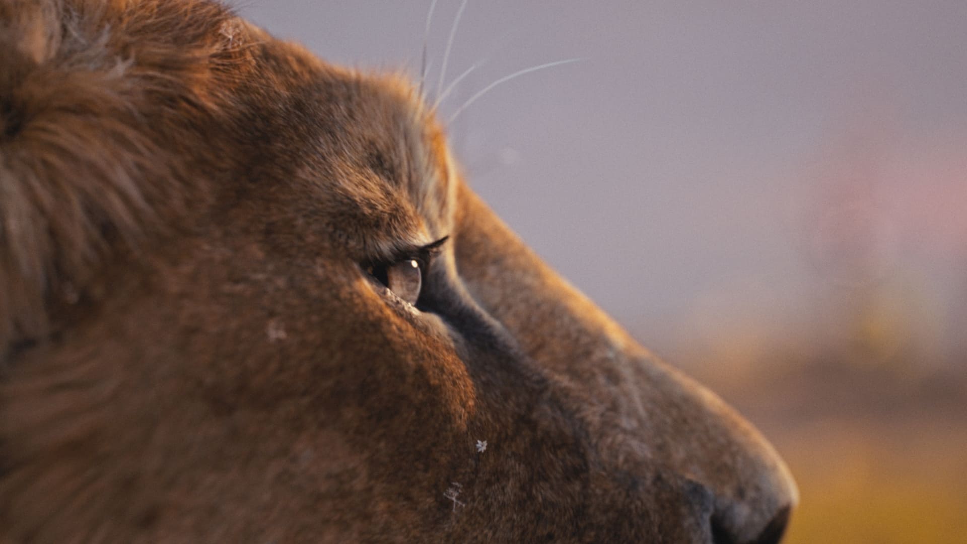 Immagine Mufasa - Il re leone - Poster - Sfondi