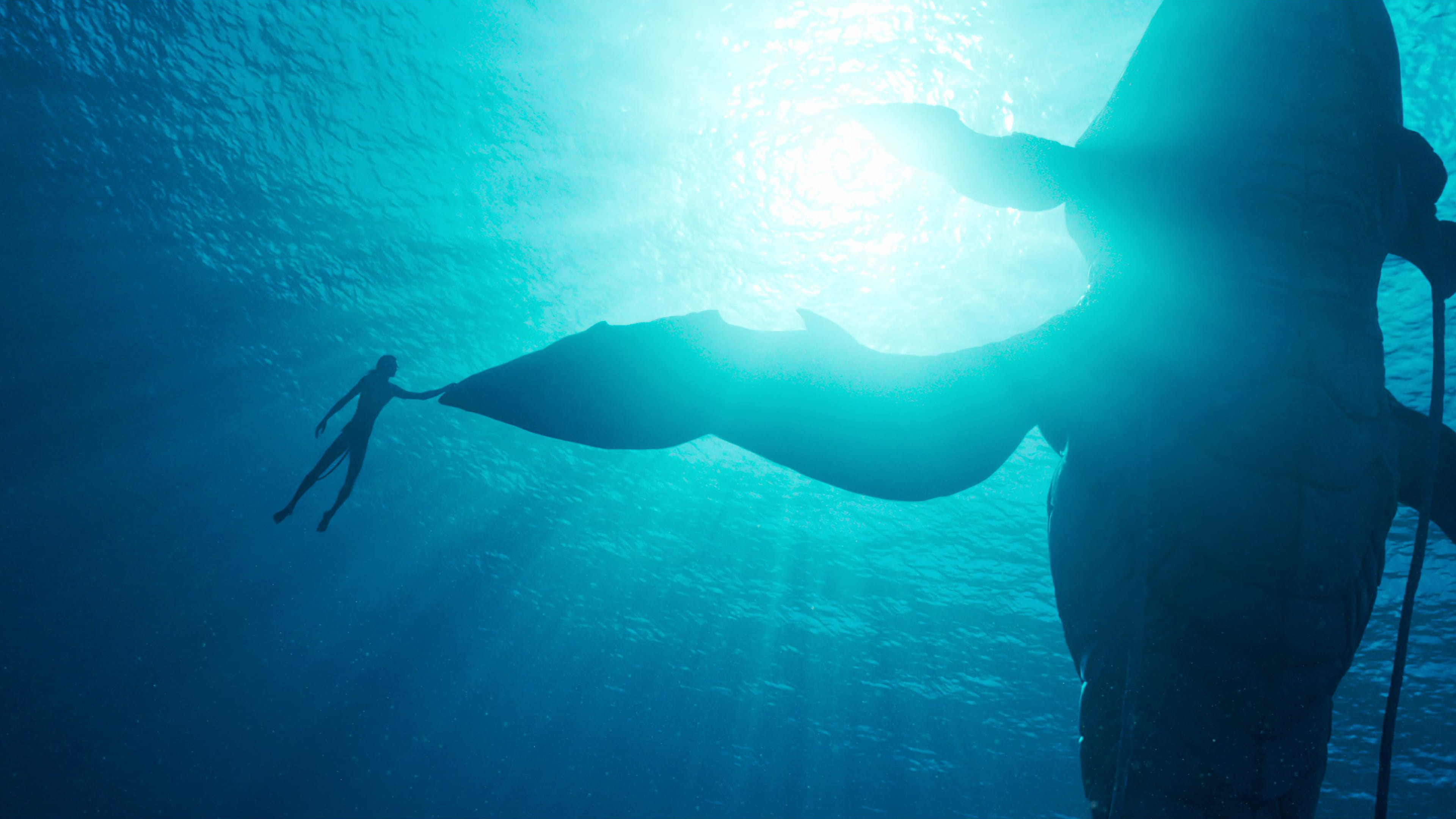 Immagine Avatar - La via dell'acqua - Poster - Sfondi