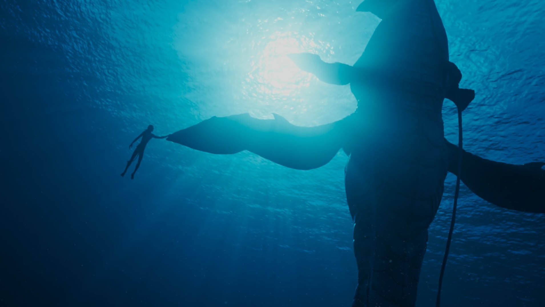 Immagine Avatar - La via dell'acqua - Poster - Sfondi