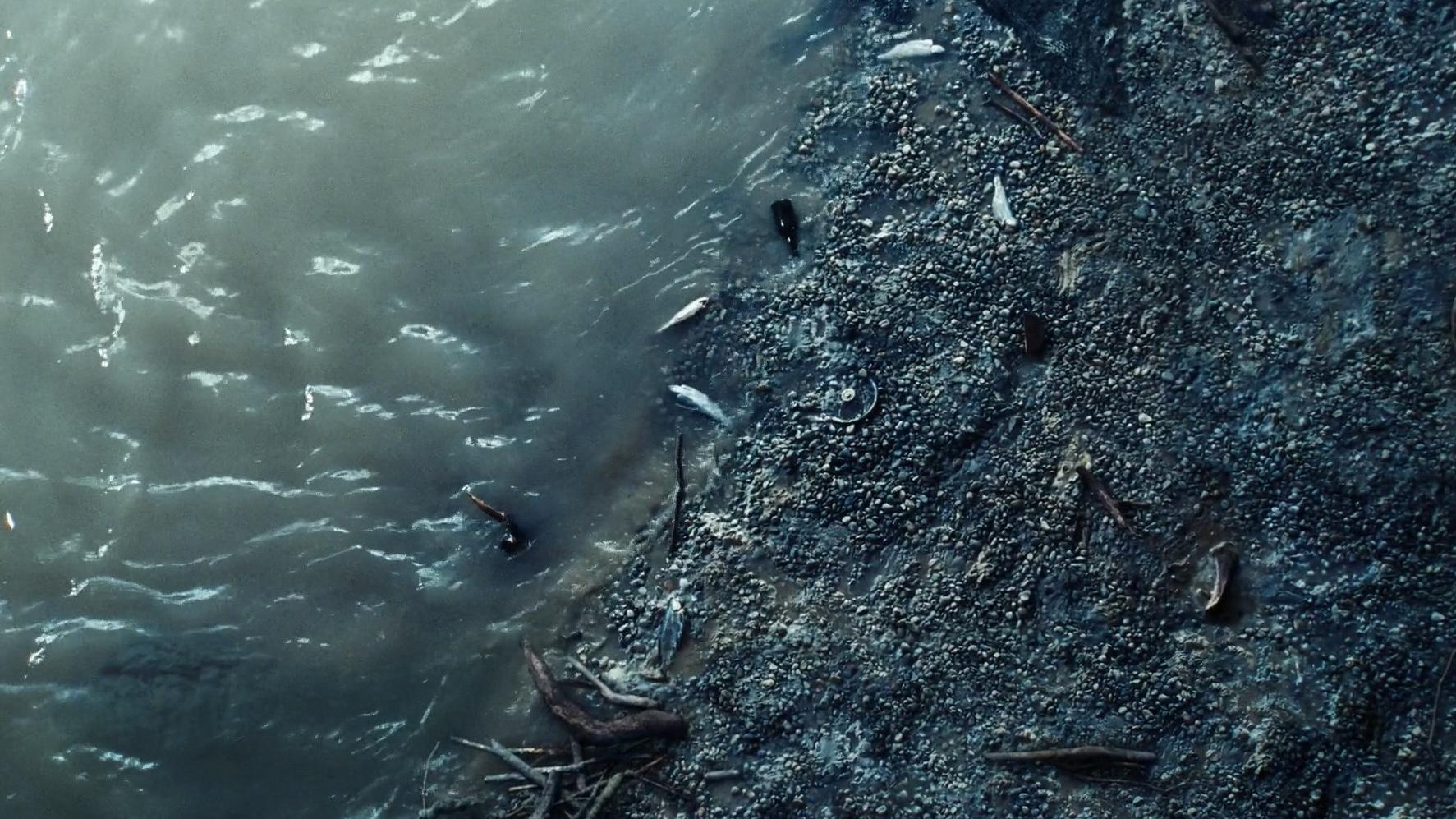Immagine Povere creature! - Poster - Sfondi