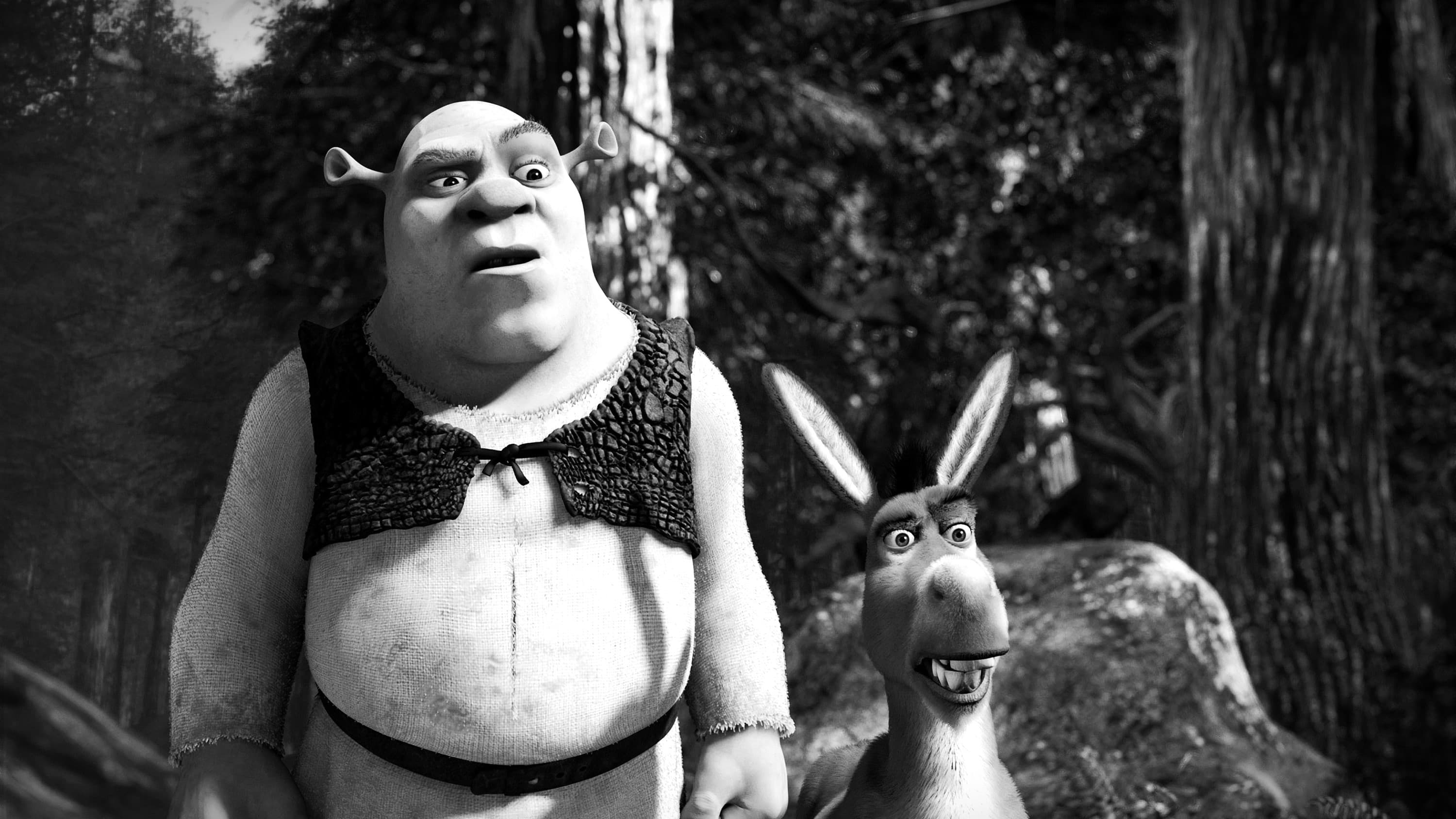 Immagine Shrek 2 - Poster - Sfondi