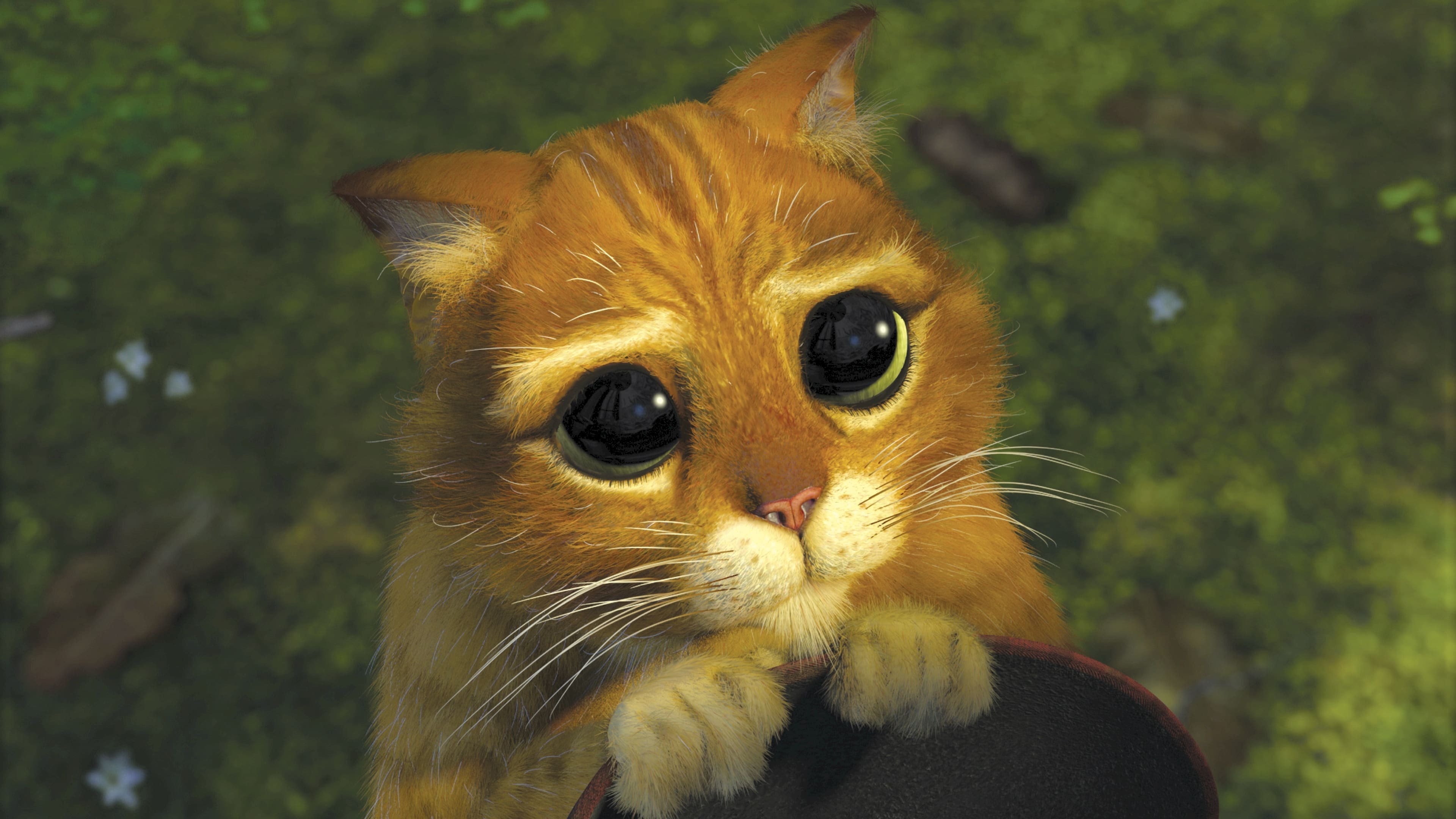 Immagine Shrek 2 - Poster - Sfondi