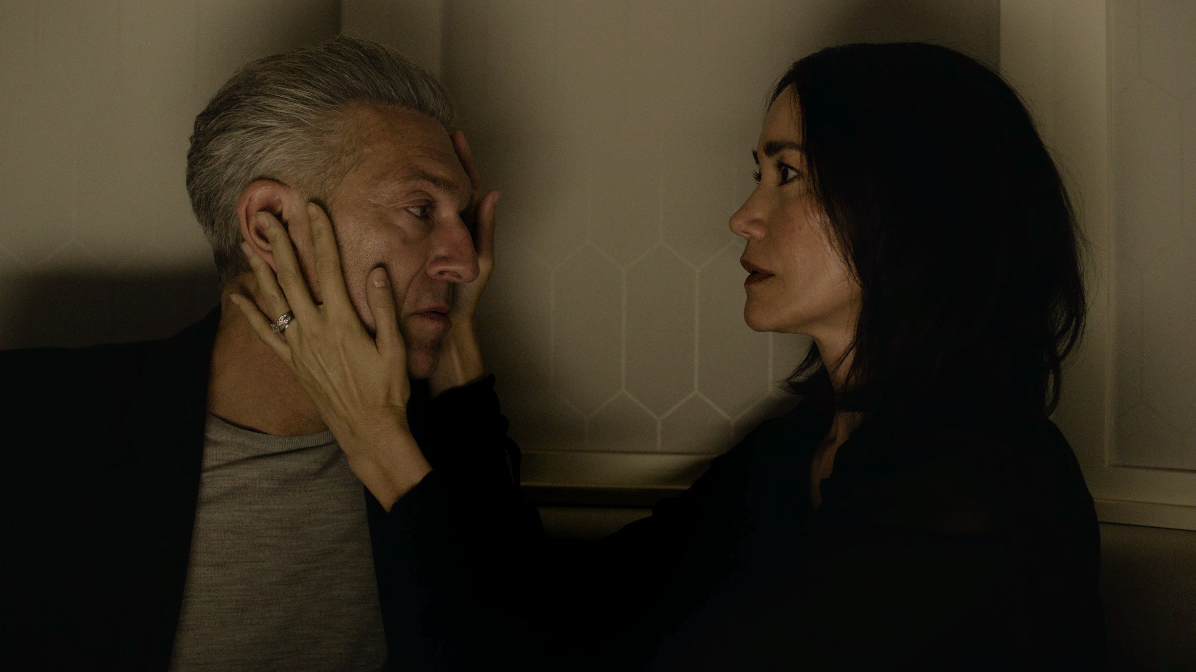 Immagine The Shrouds - Segreti sepolti - Poster - Sfondi