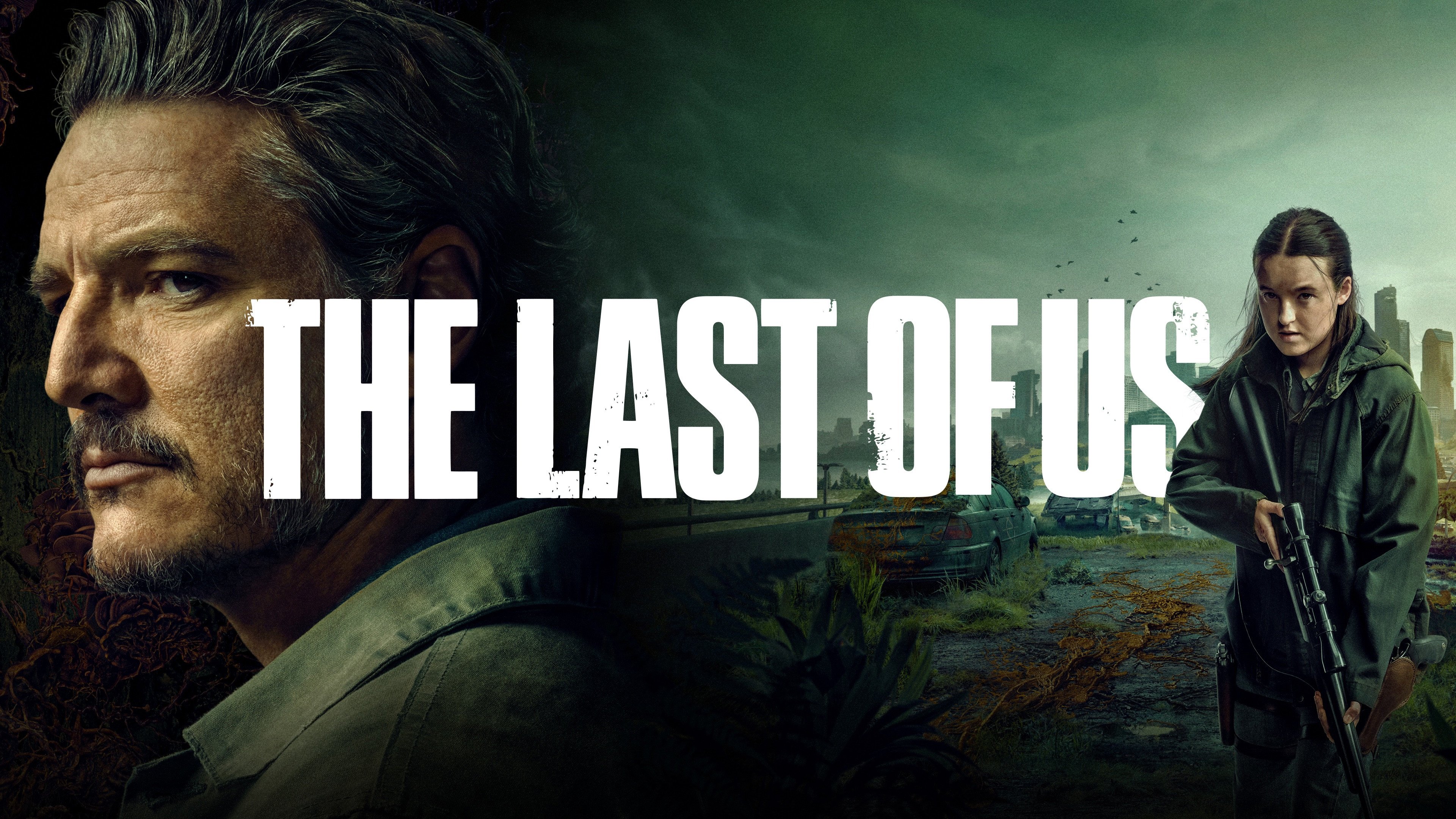 Immagine Poster serie TV 9 The Last of Us