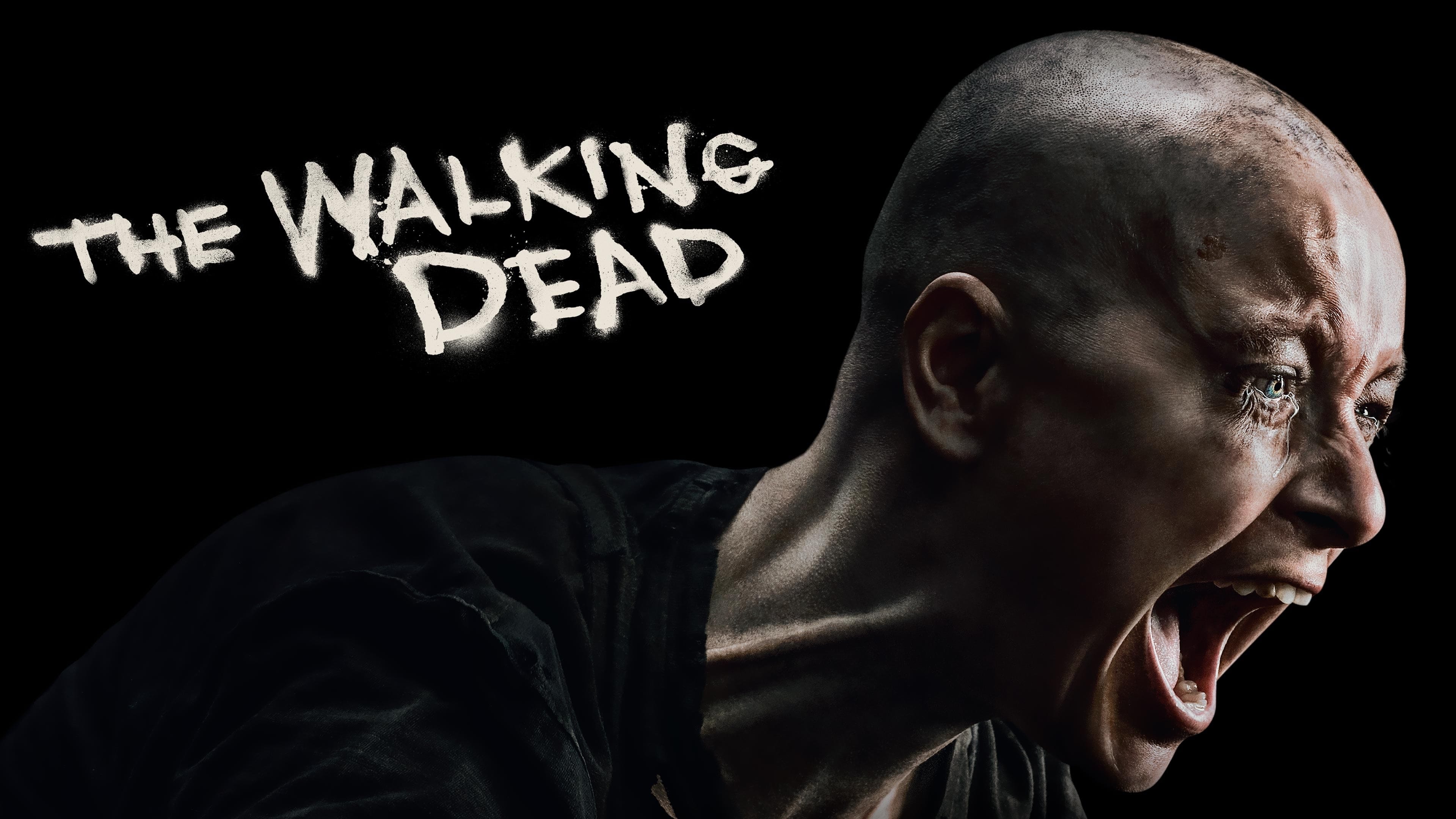 Immagine Poster serie TV 110 The Walking Dead