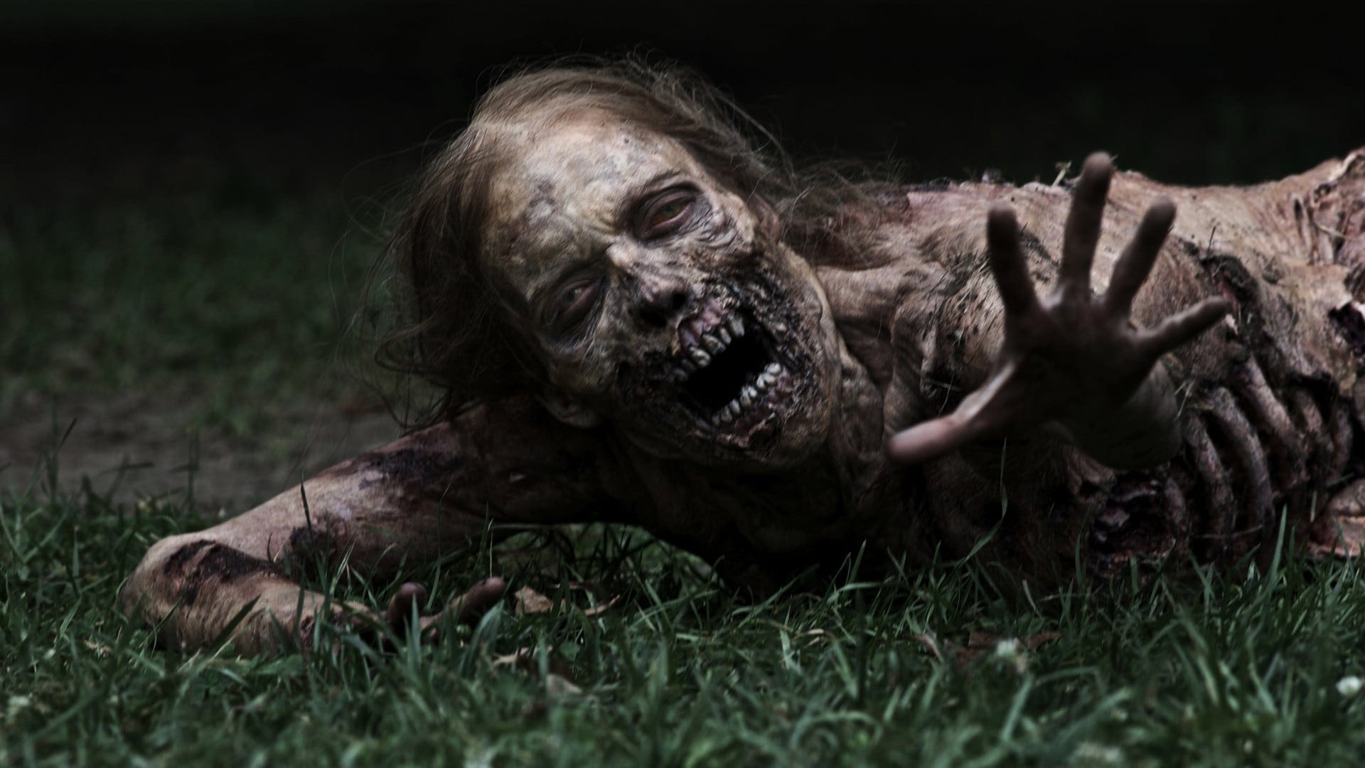 Immagine Poster serie TV 63 The Walking Dead