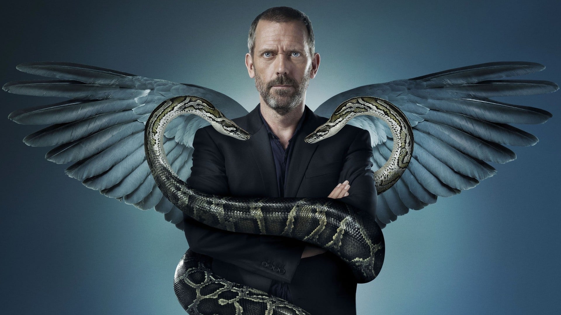 Immagine Poster serie TV 74 Dr. House - Medical Division