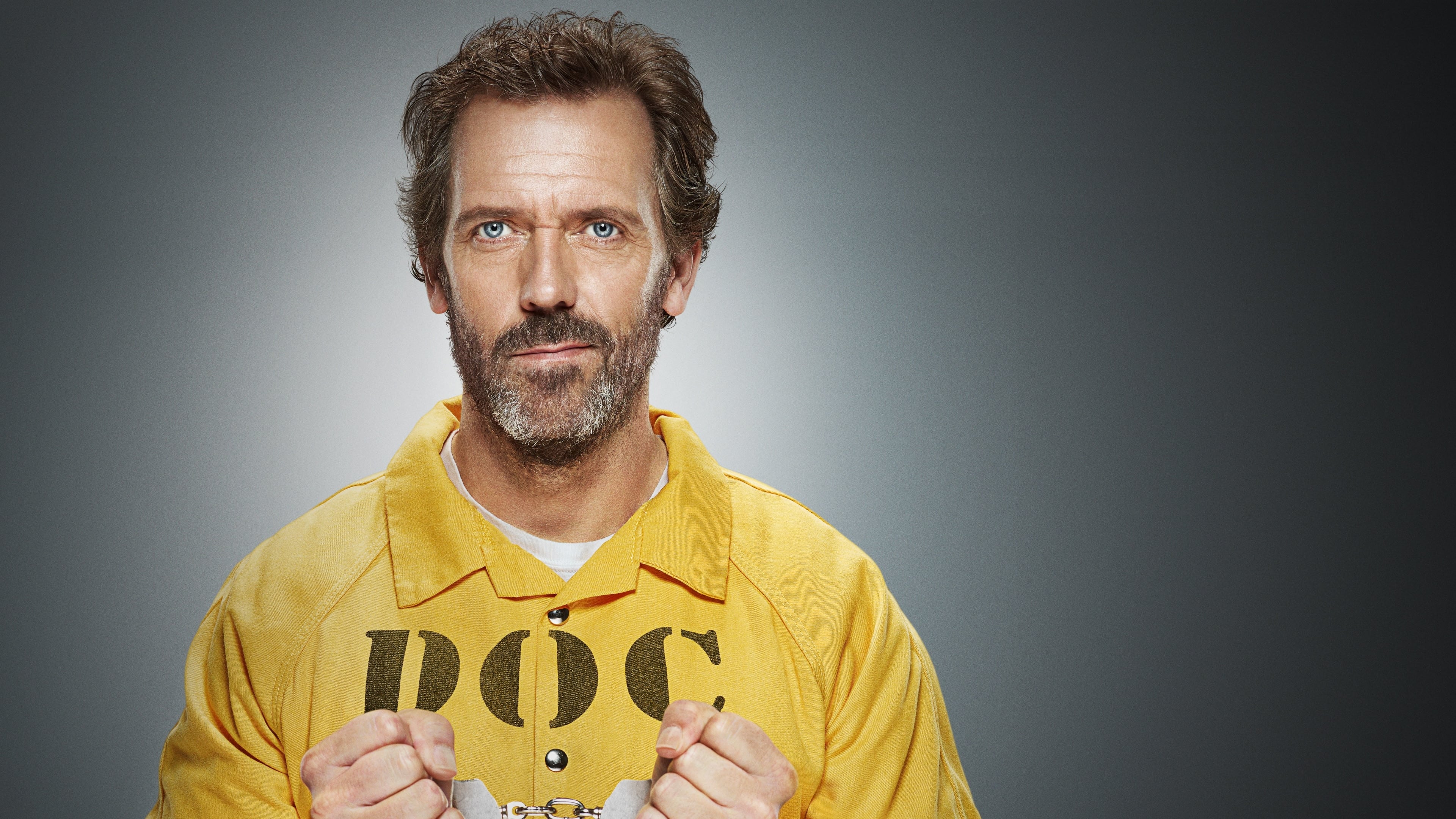 Immagine Poster serie TV 8 Dr. House - Medical Division