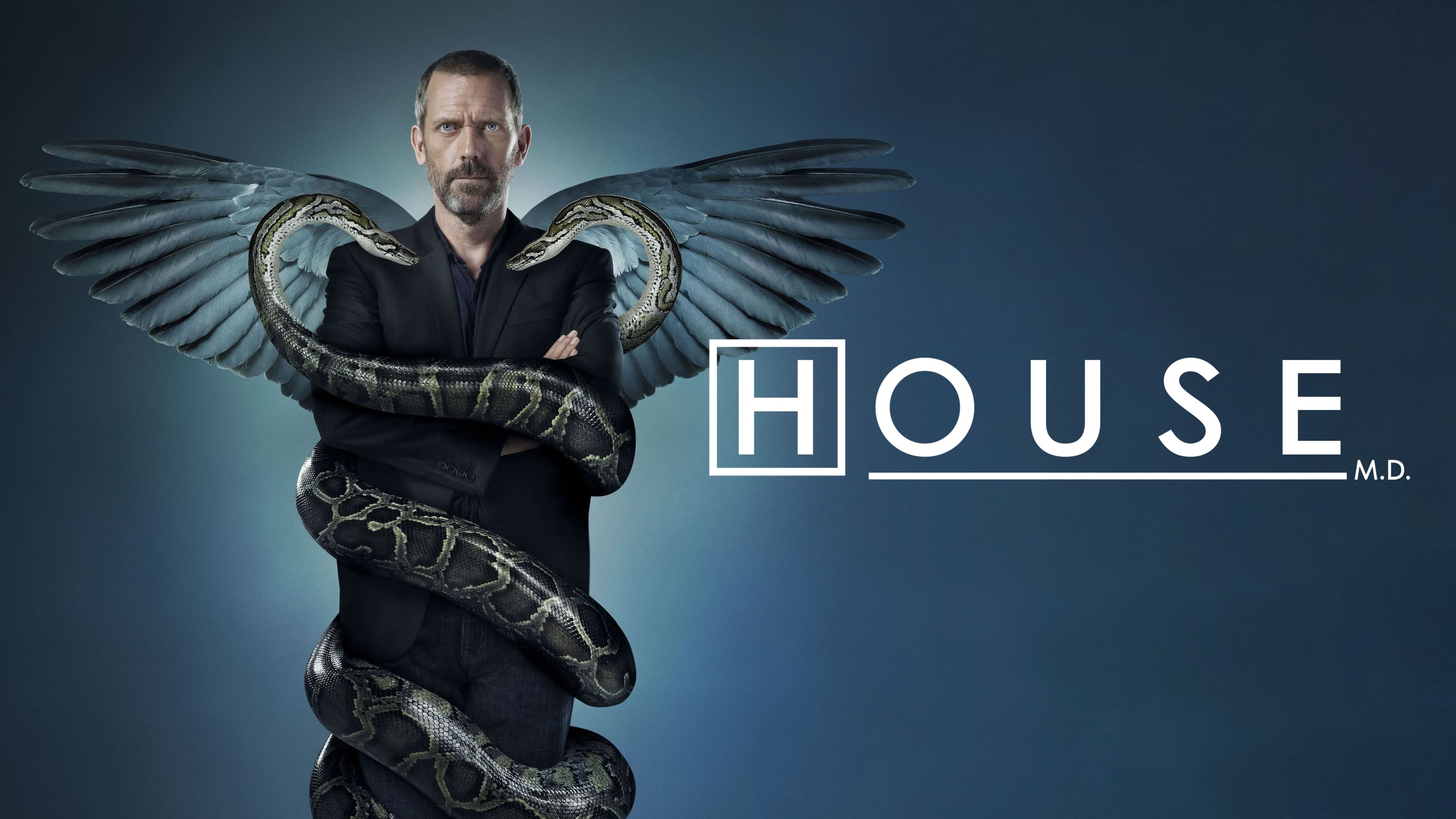 Immagine Poster serie TV 41 Dr. House - Medical Division