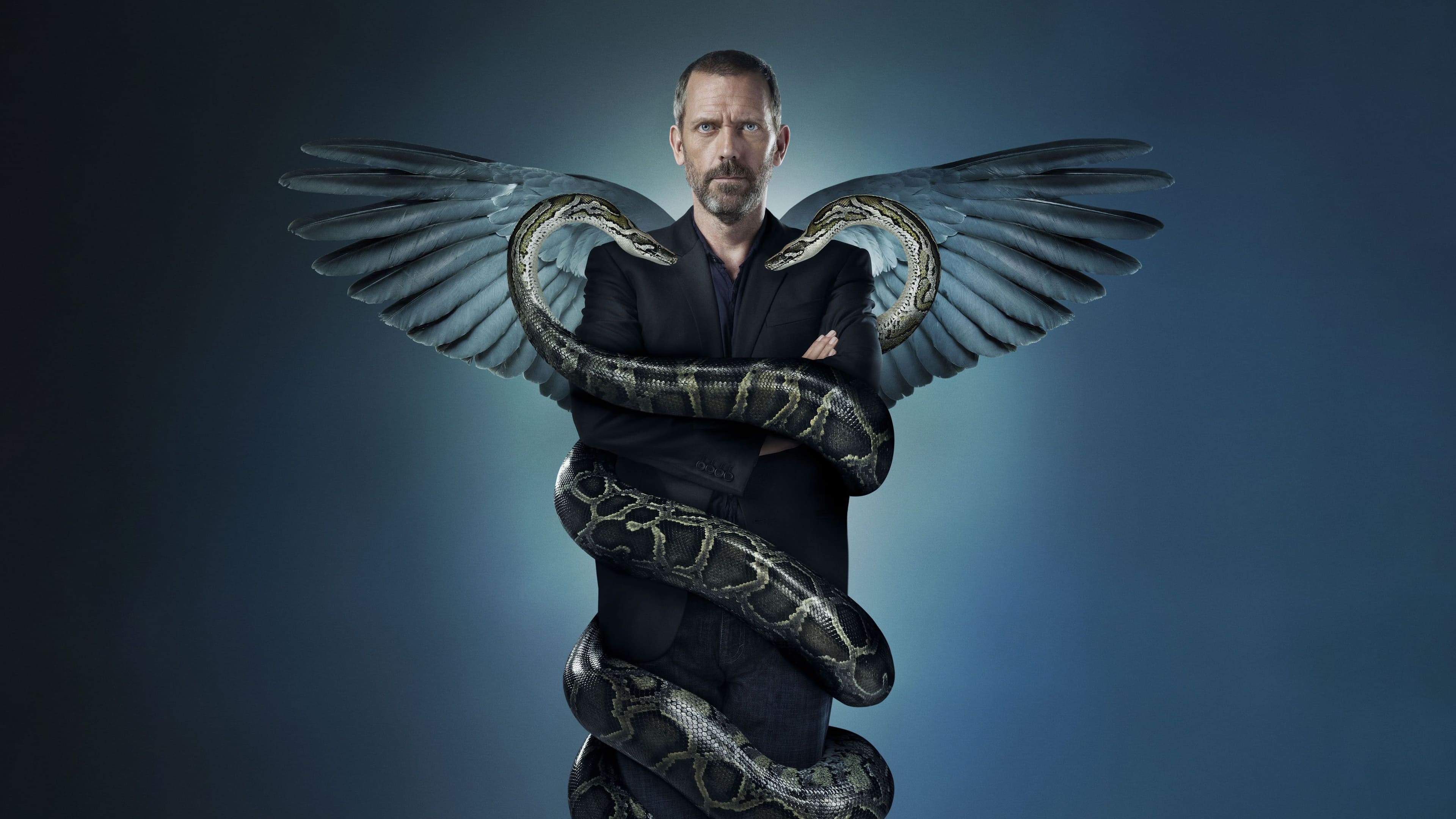 Immagine Poster serie TV 1 Dr. House - Medical Division