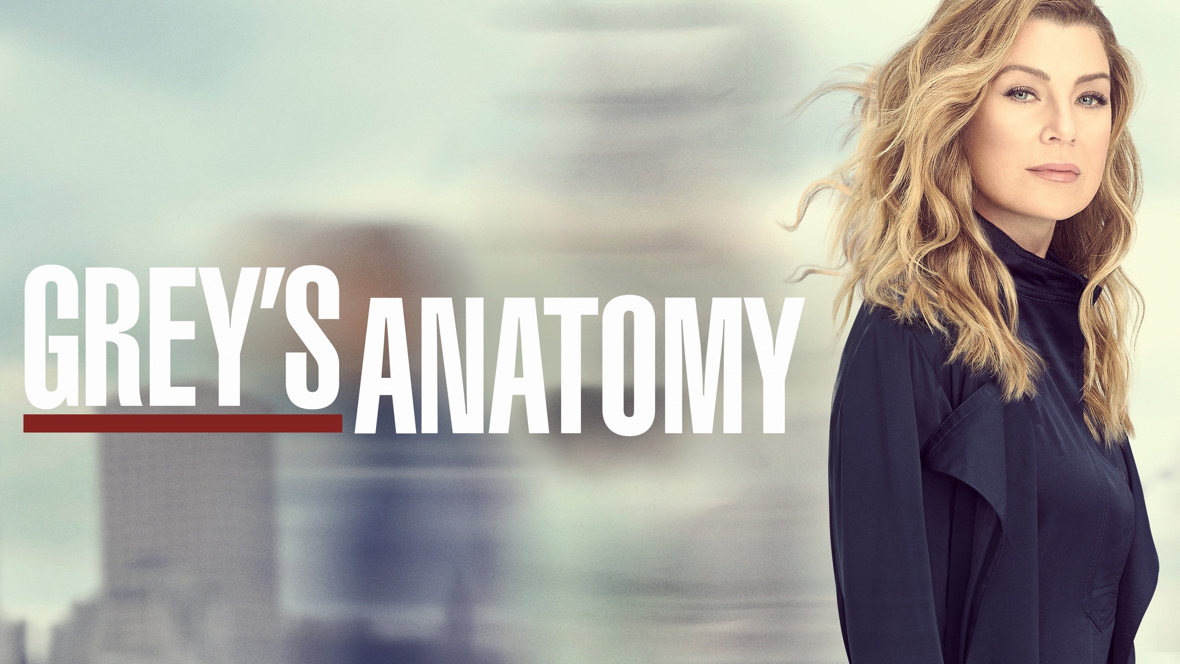 Immagine Poster serie TV 6 Grey's Anatomy