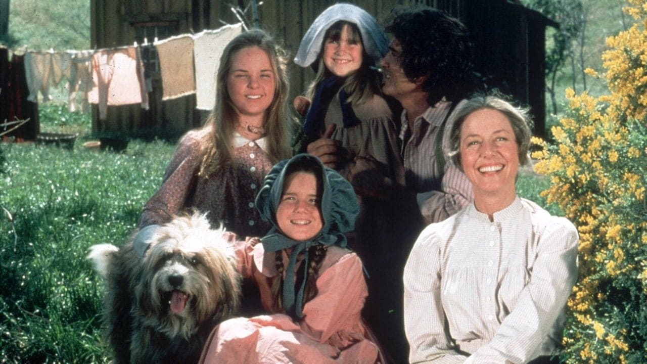 Immagine Poster serie TV 11 La casa nella prateria