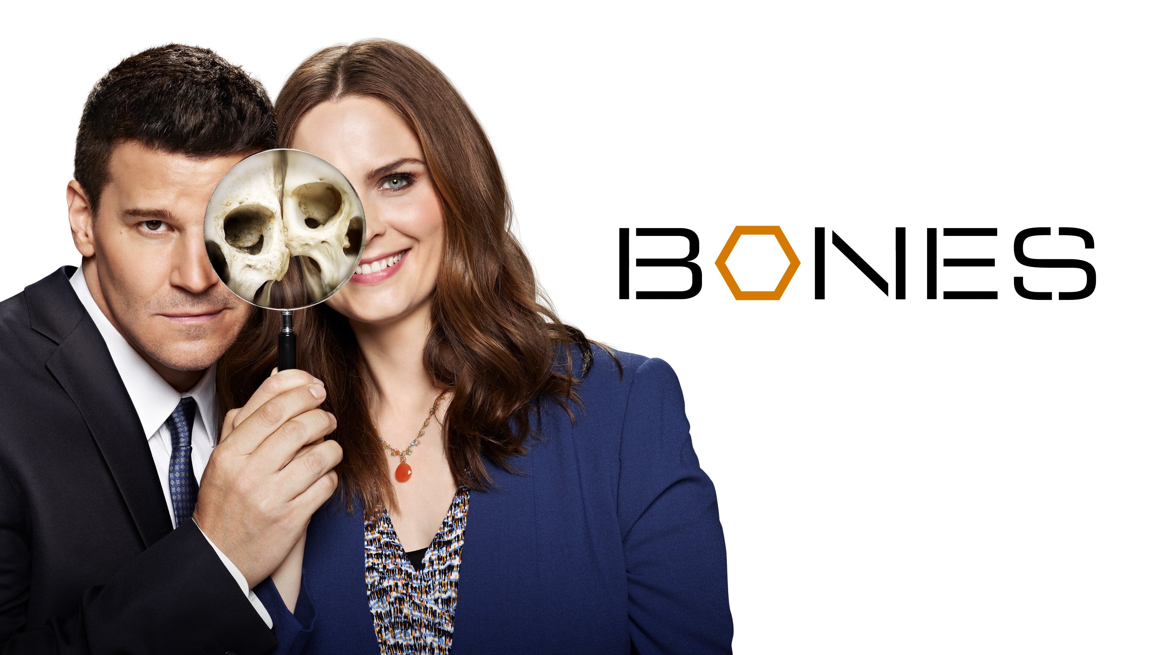 Immagine Poster serie TV 1 Bones