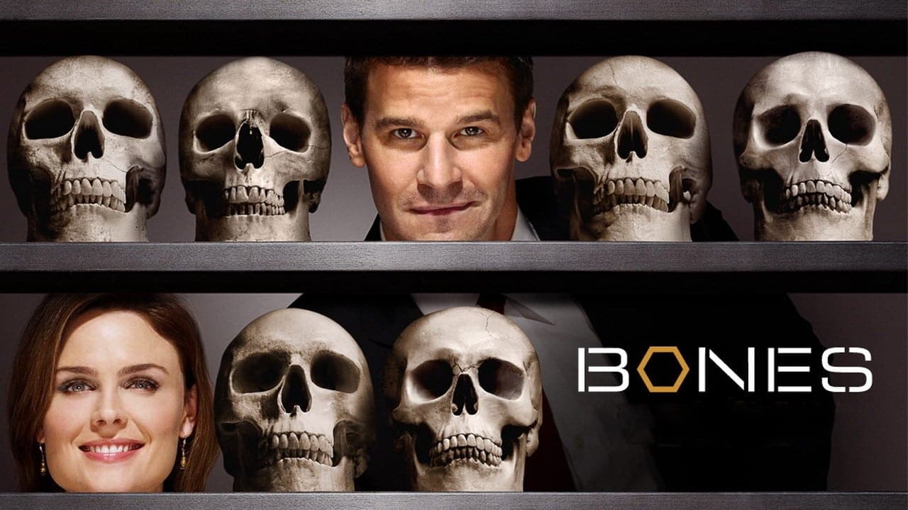 Immagine Poster serie TV 30 Bones