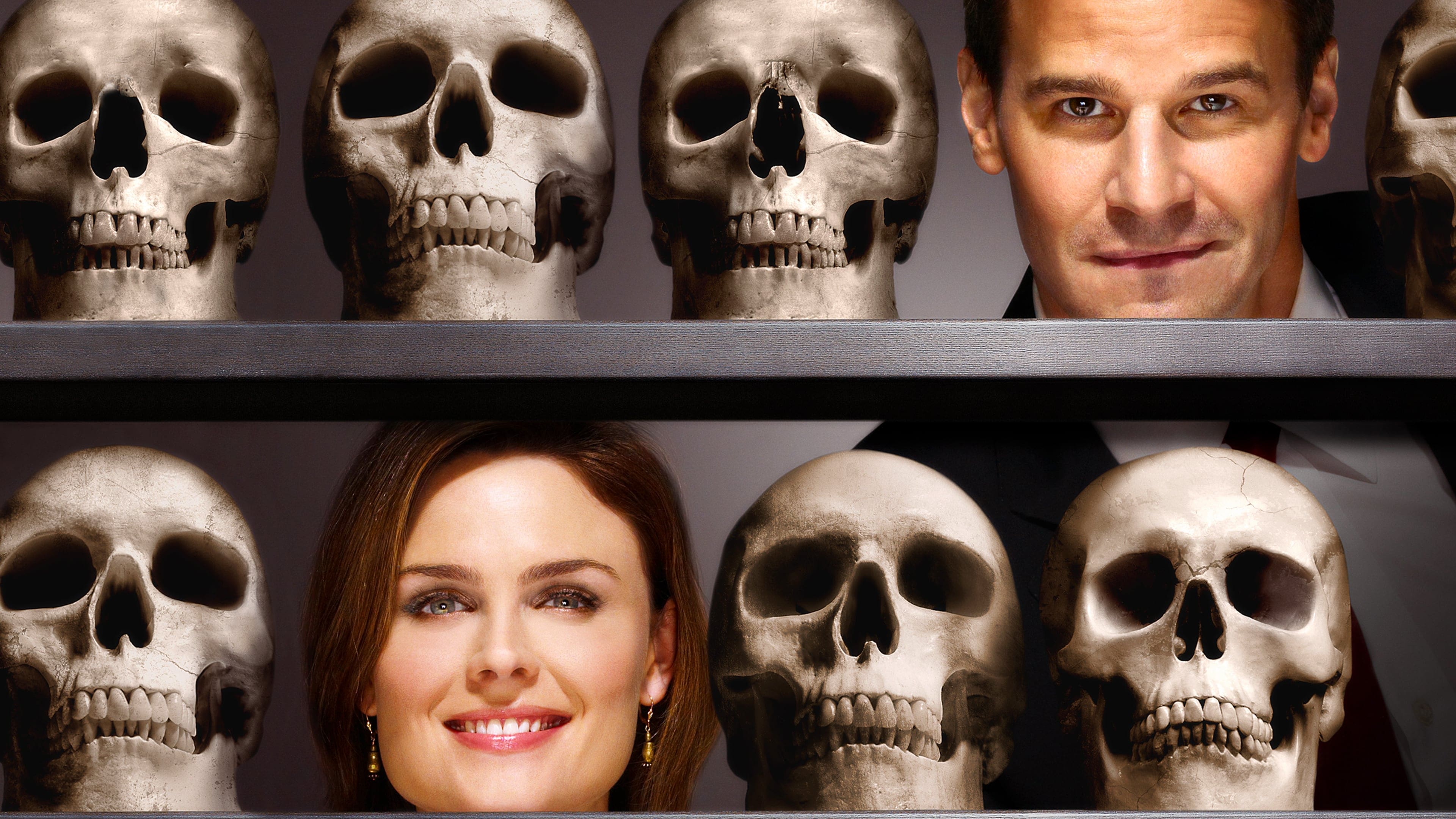 Immagine Poster serie TV 7 Bones