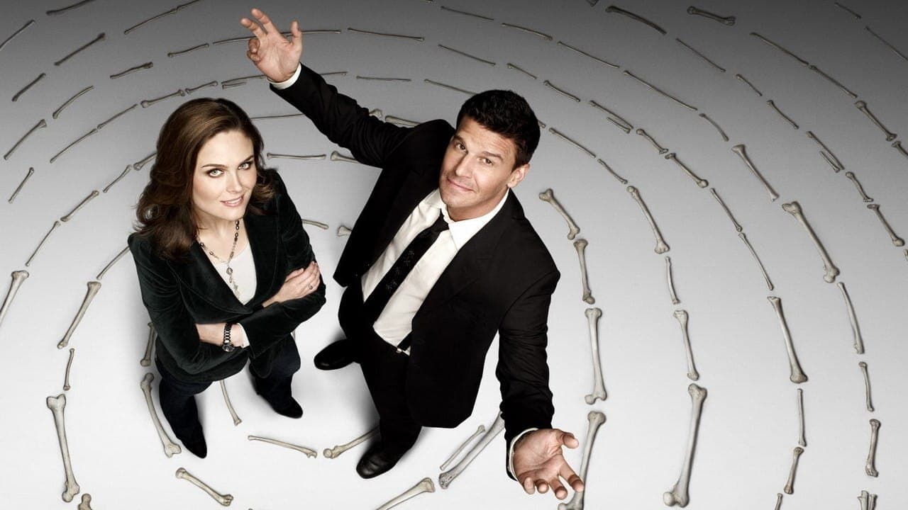 Immagine Poster serie TV 36 Bones