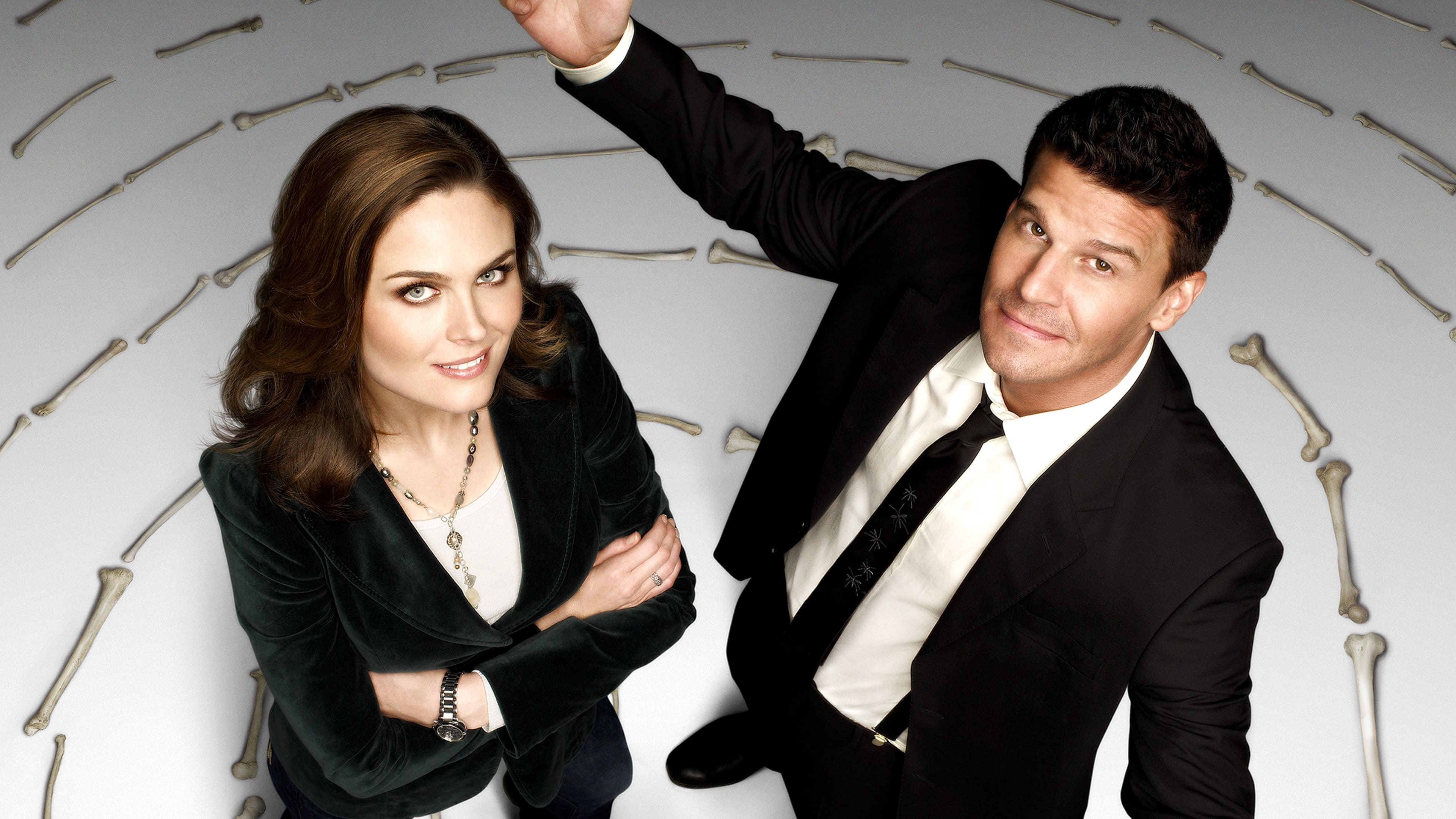 Immagine Poster serie TV 8 Bones