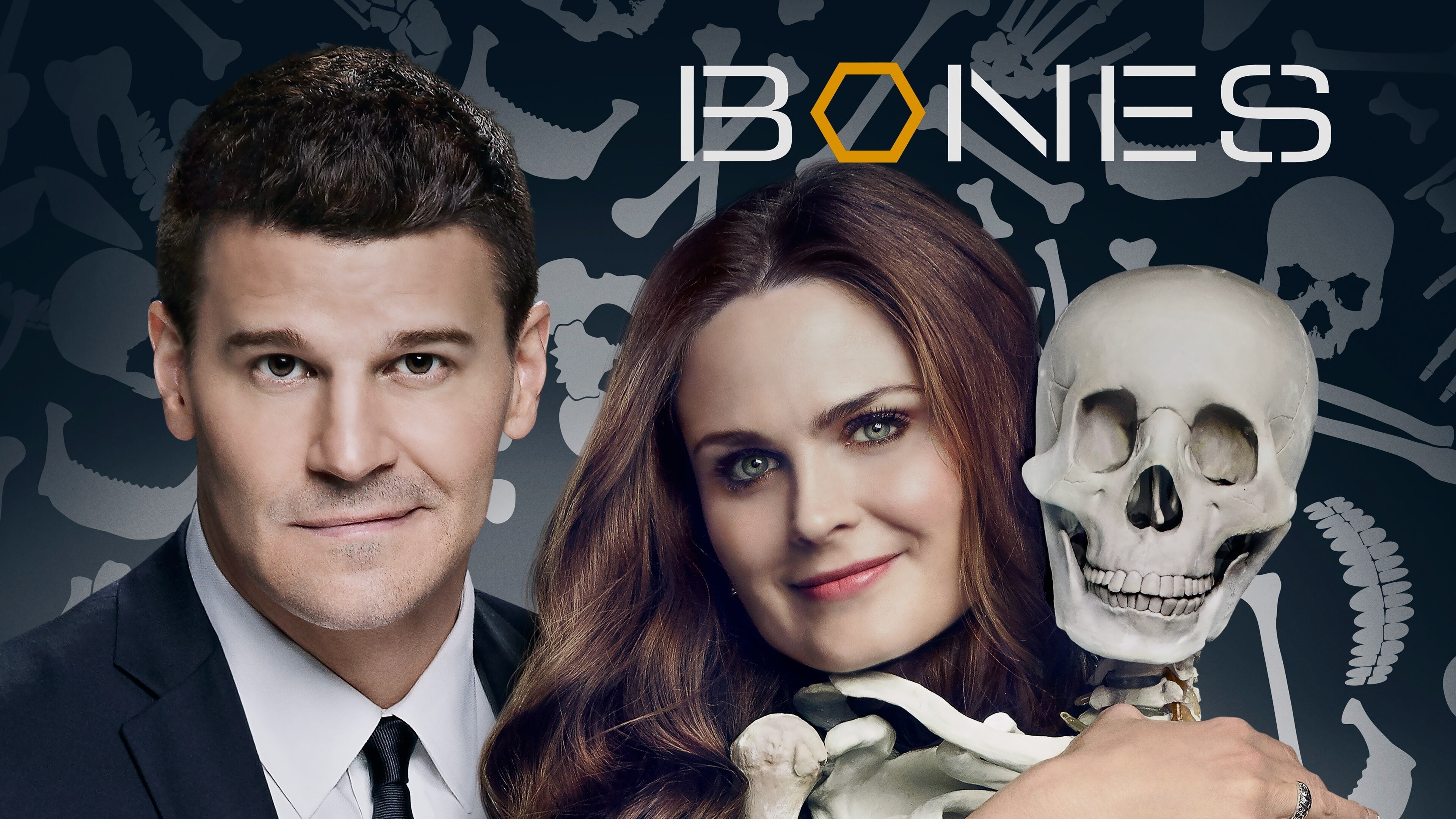 Immagine Poster serie TV 85 Bones