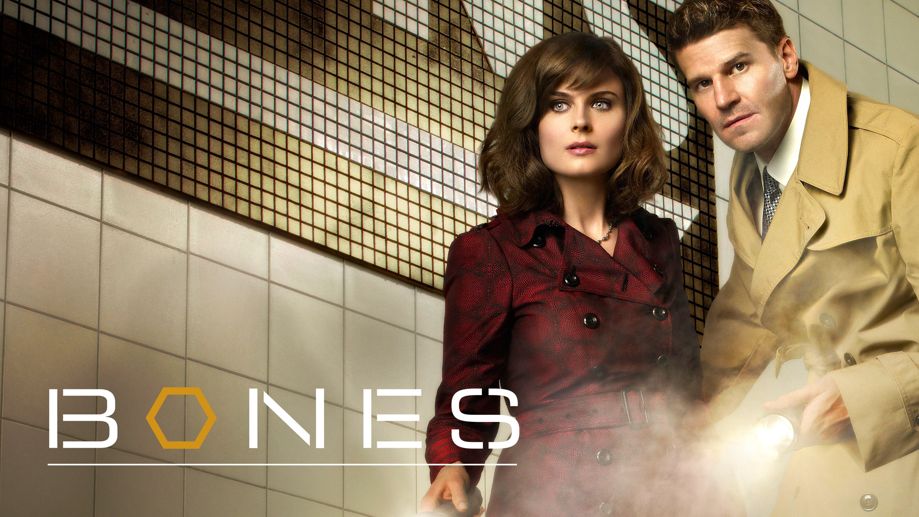 Immagine Poster serie TV 83 Bones