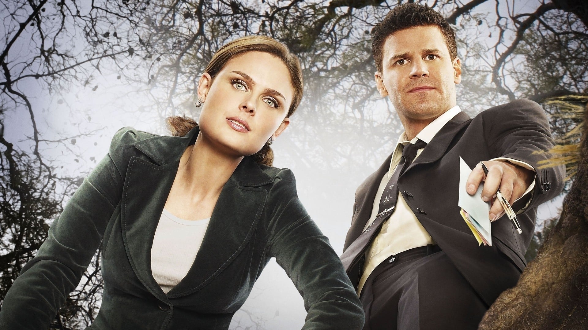 Immagine Poster serie TV 4 Bones