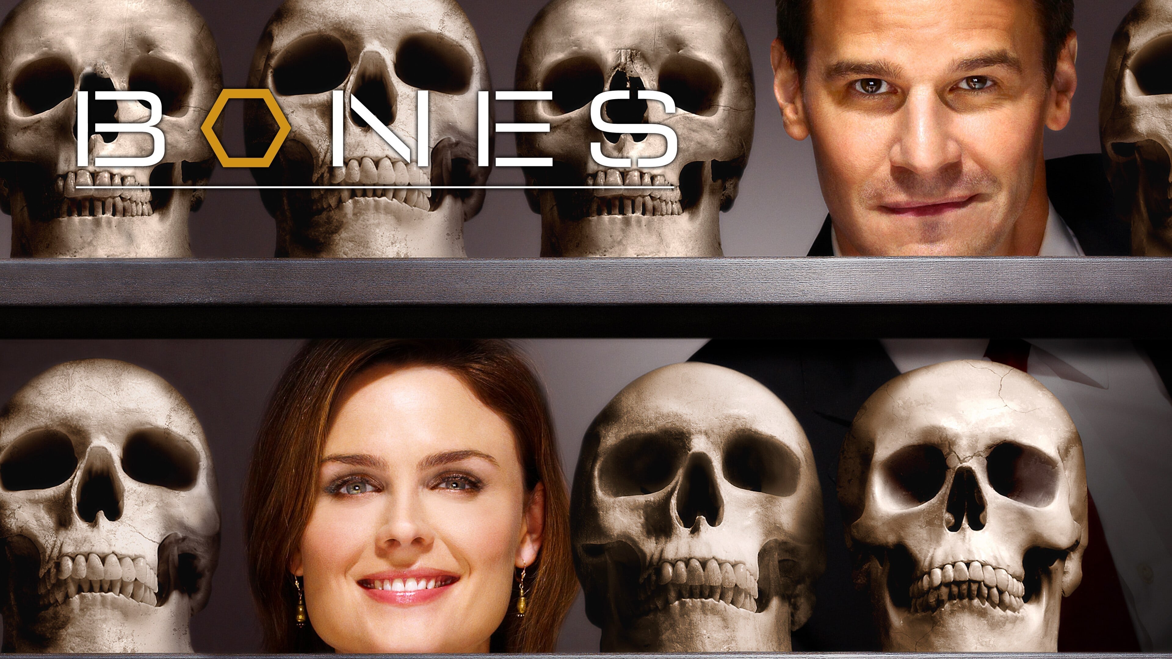 Immagine Poster serie TV 81 Bones