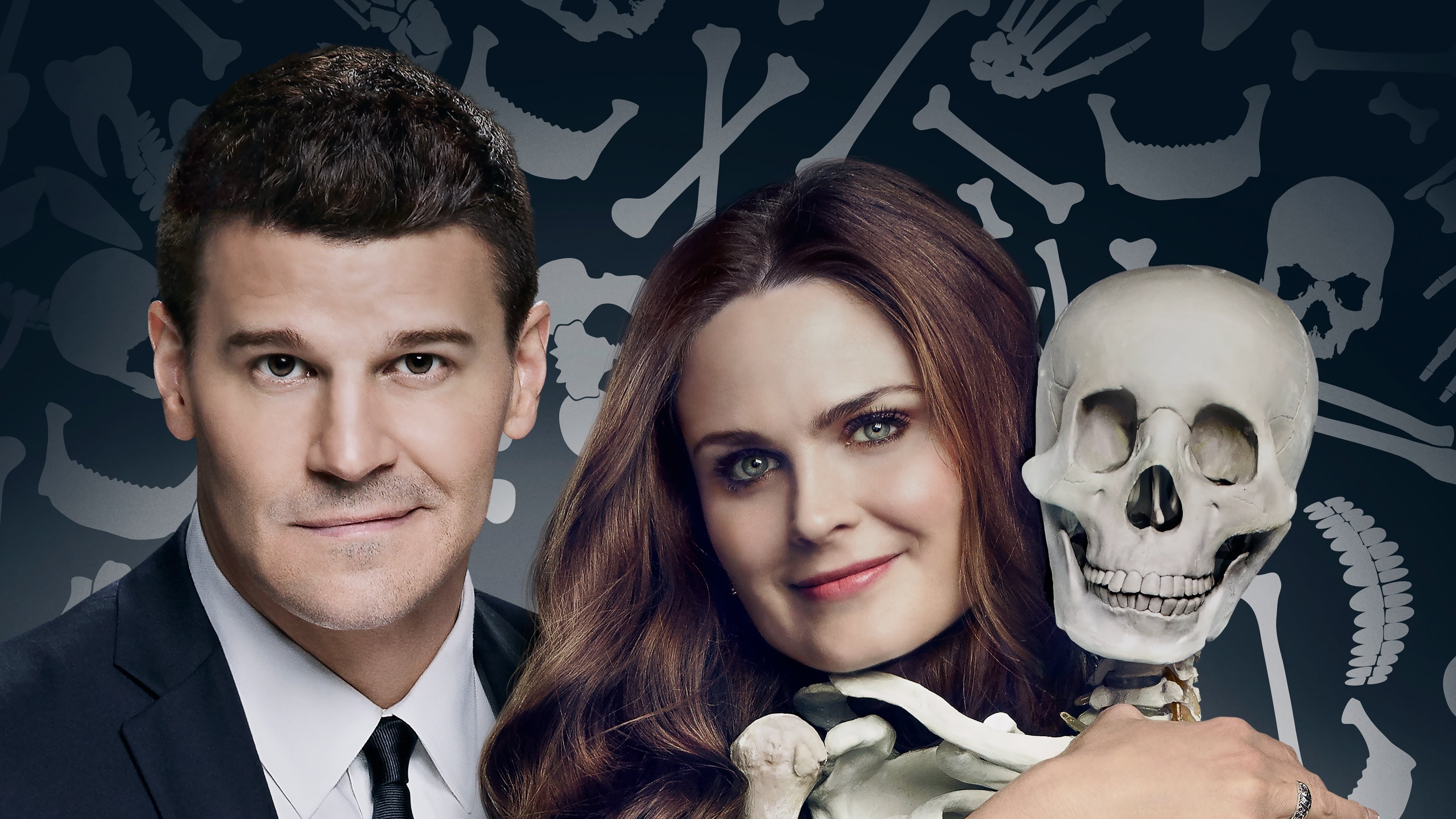Immagine Poster serie TV 10 Bones