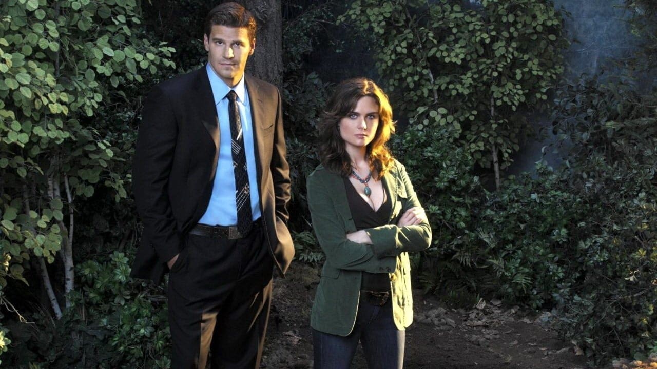 Immagine Poster serie TV 6 Bones