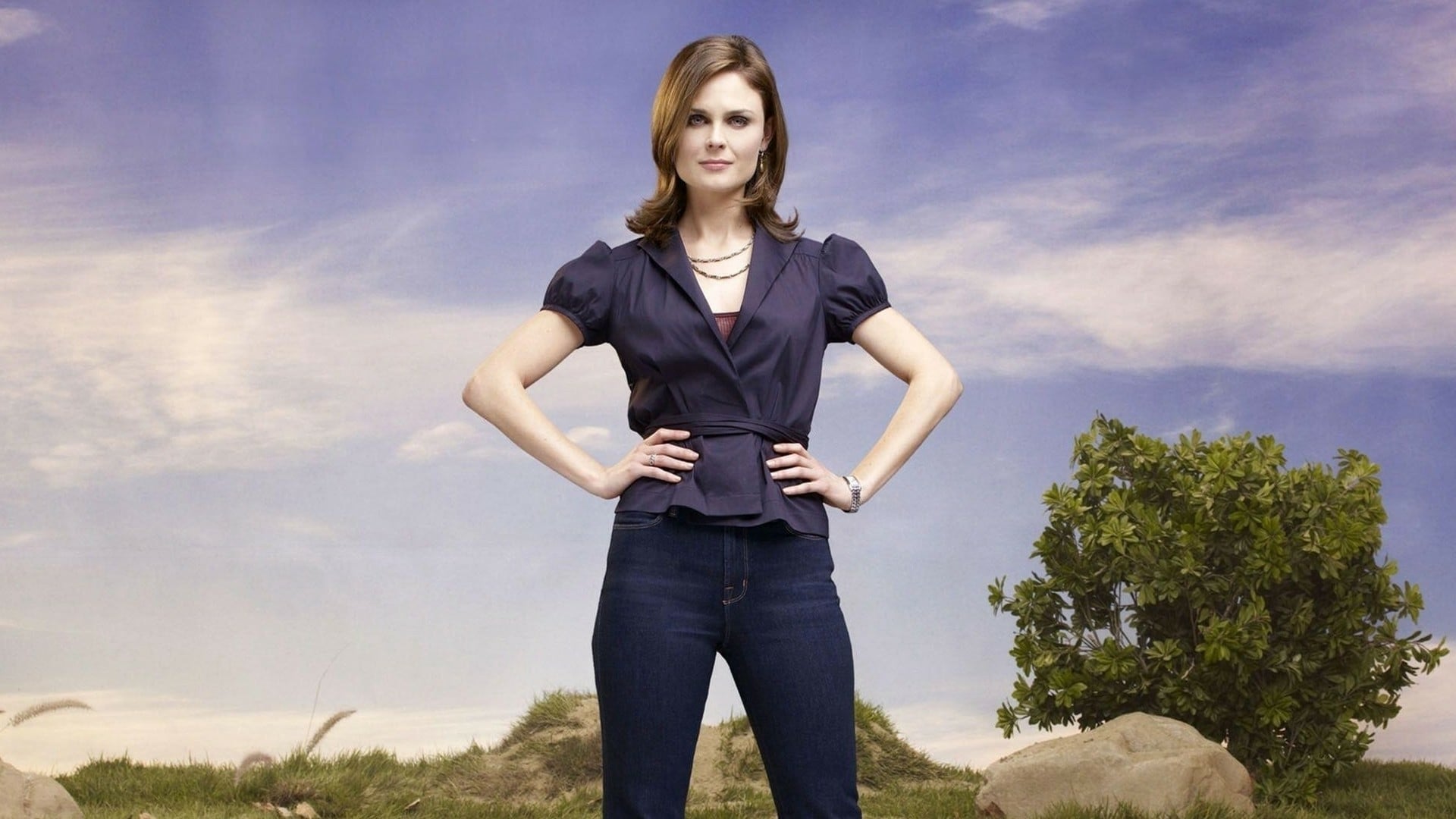 Immagine Poster serie TV 64 Bones