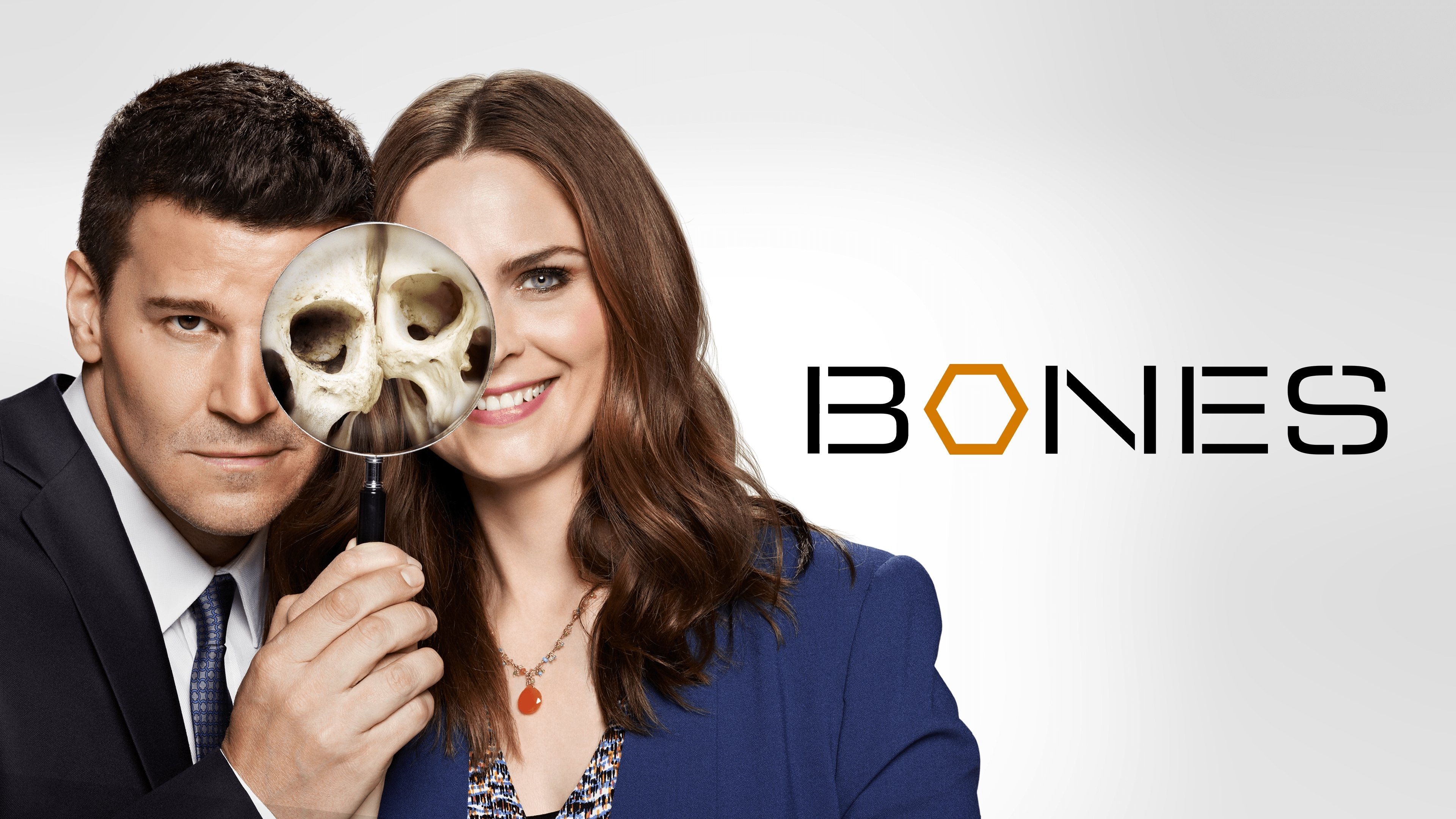 Immagine Poster serie TV 96 Bones