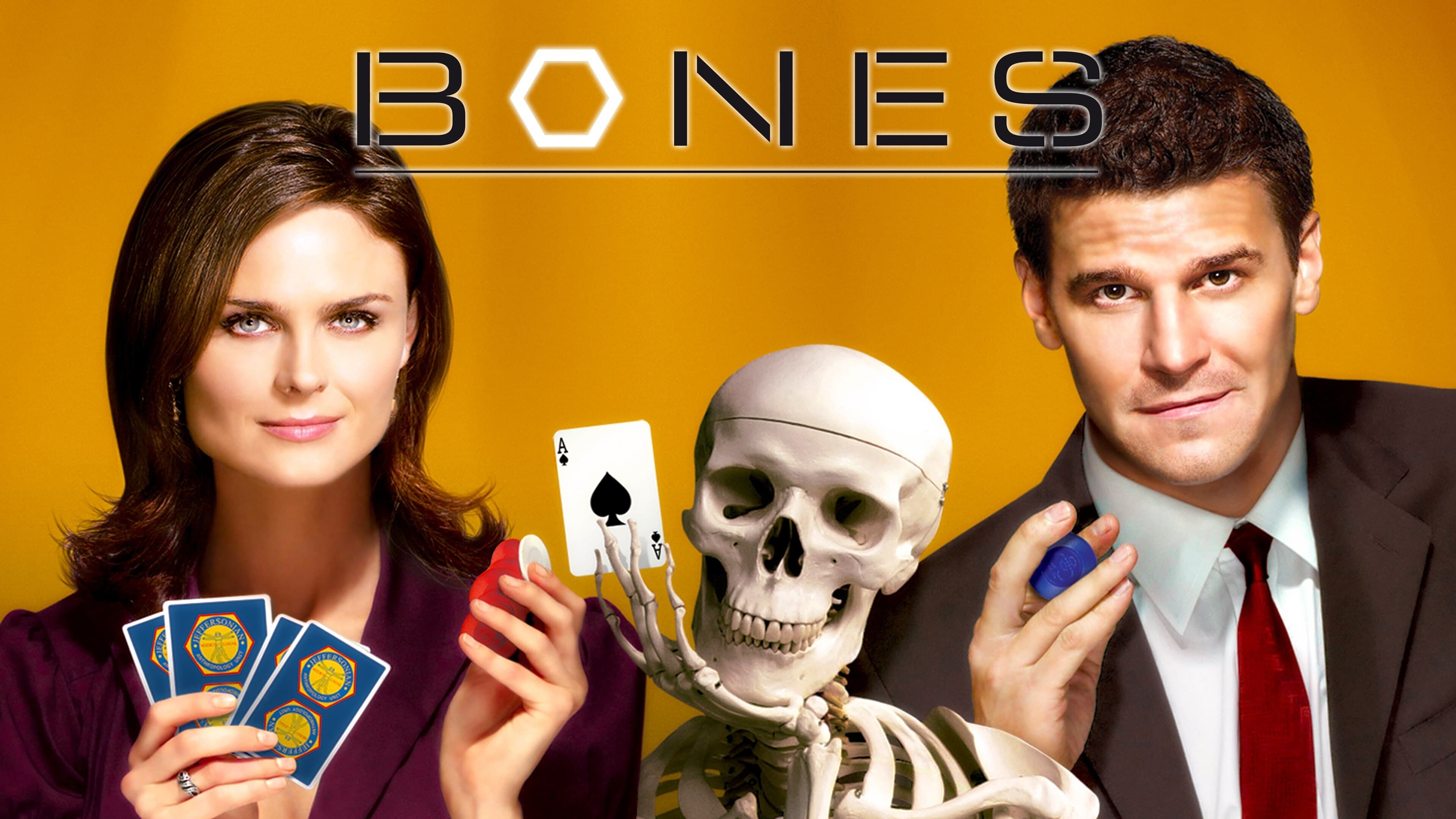 Immagine Poster serie TV 80 Bones
