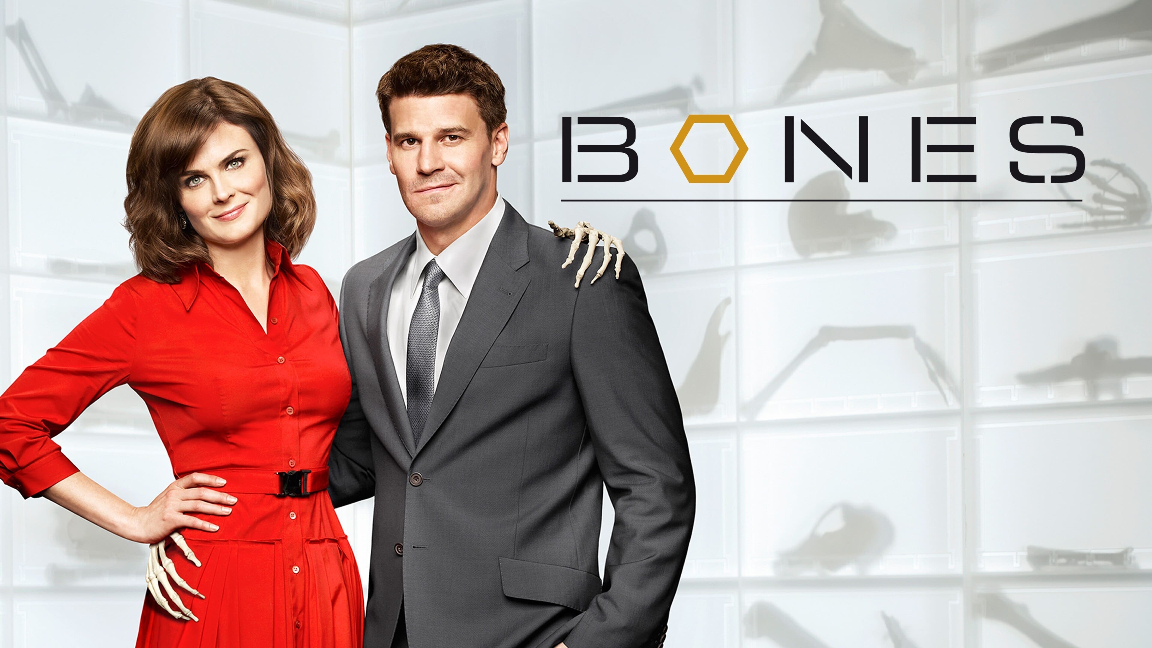 Immagine Poster serie TV 84 Bones