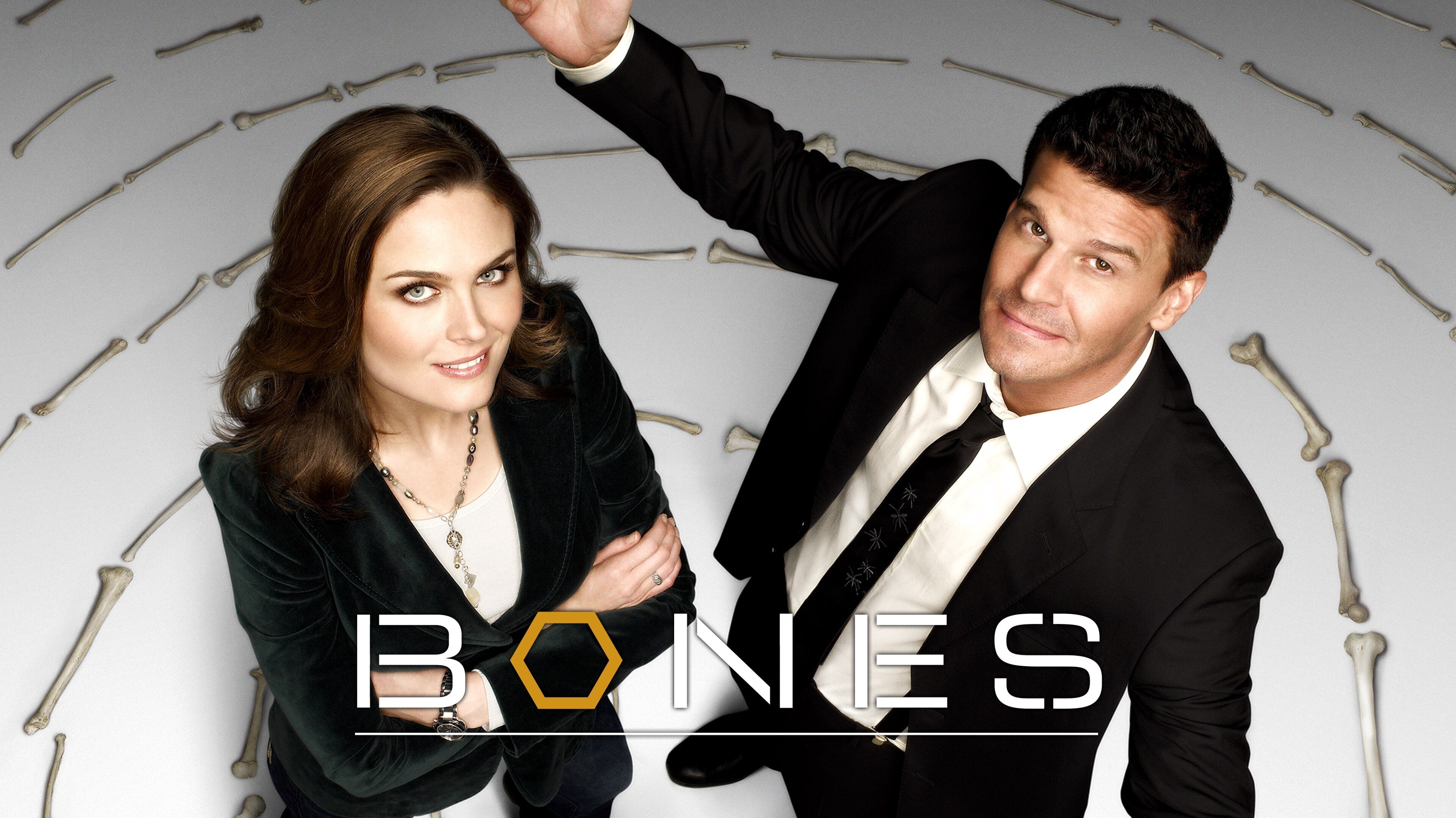 Immagine Poster serie TV 89 Bones