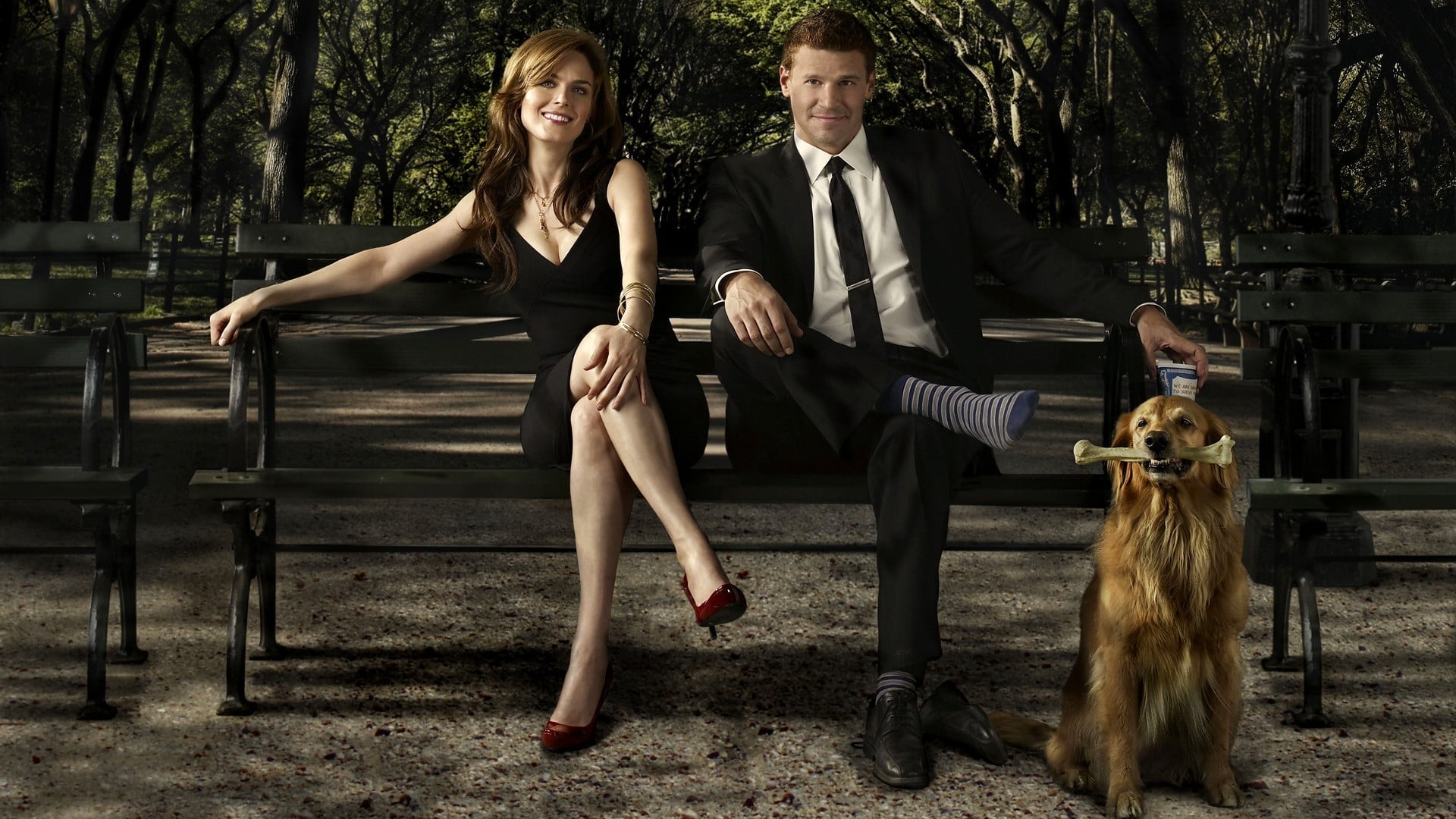 Immagine Poster serie TV 69 Bones